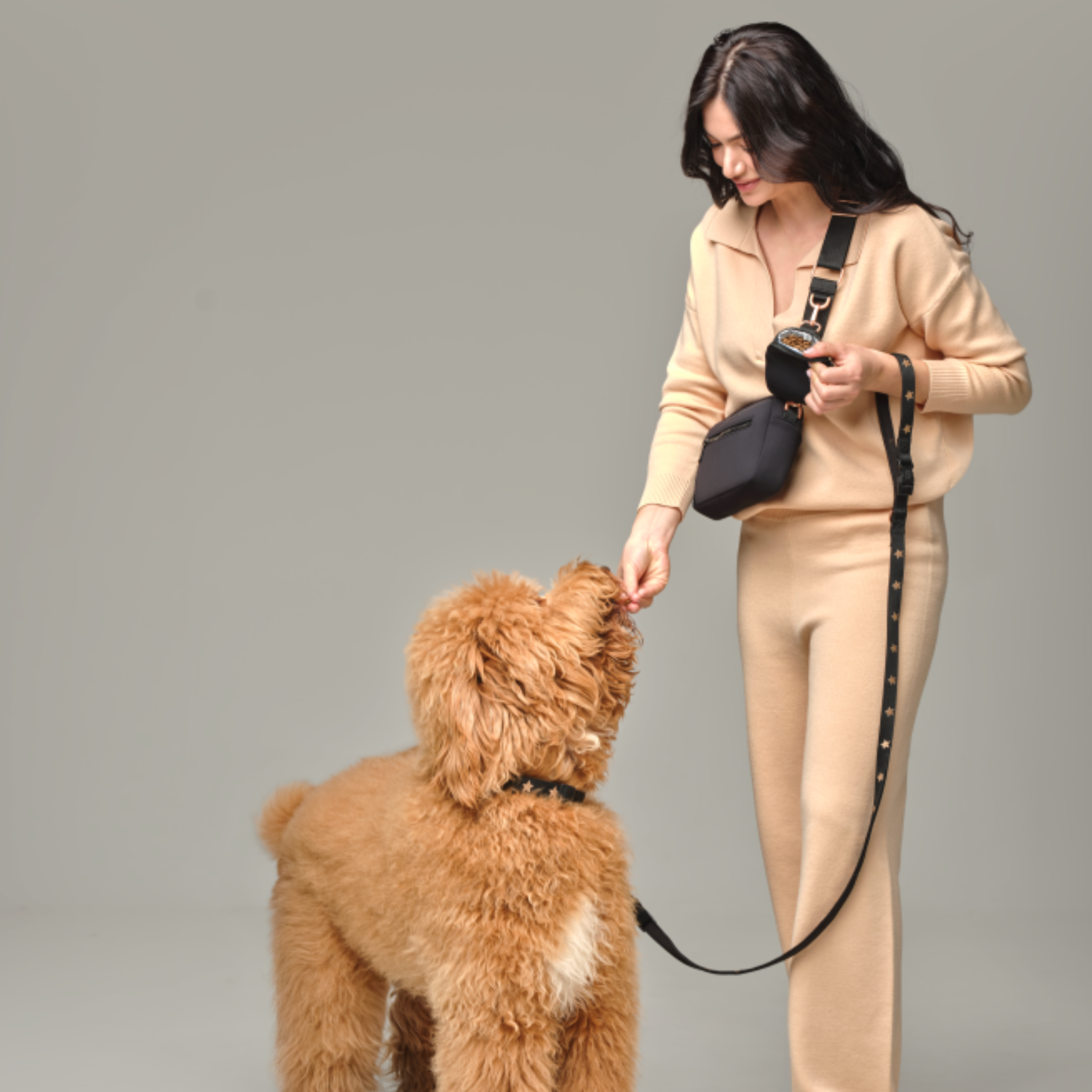 Why Dogistry Dog Leashes Are Essential for Safe, Controlled, and Stress-Free Walks