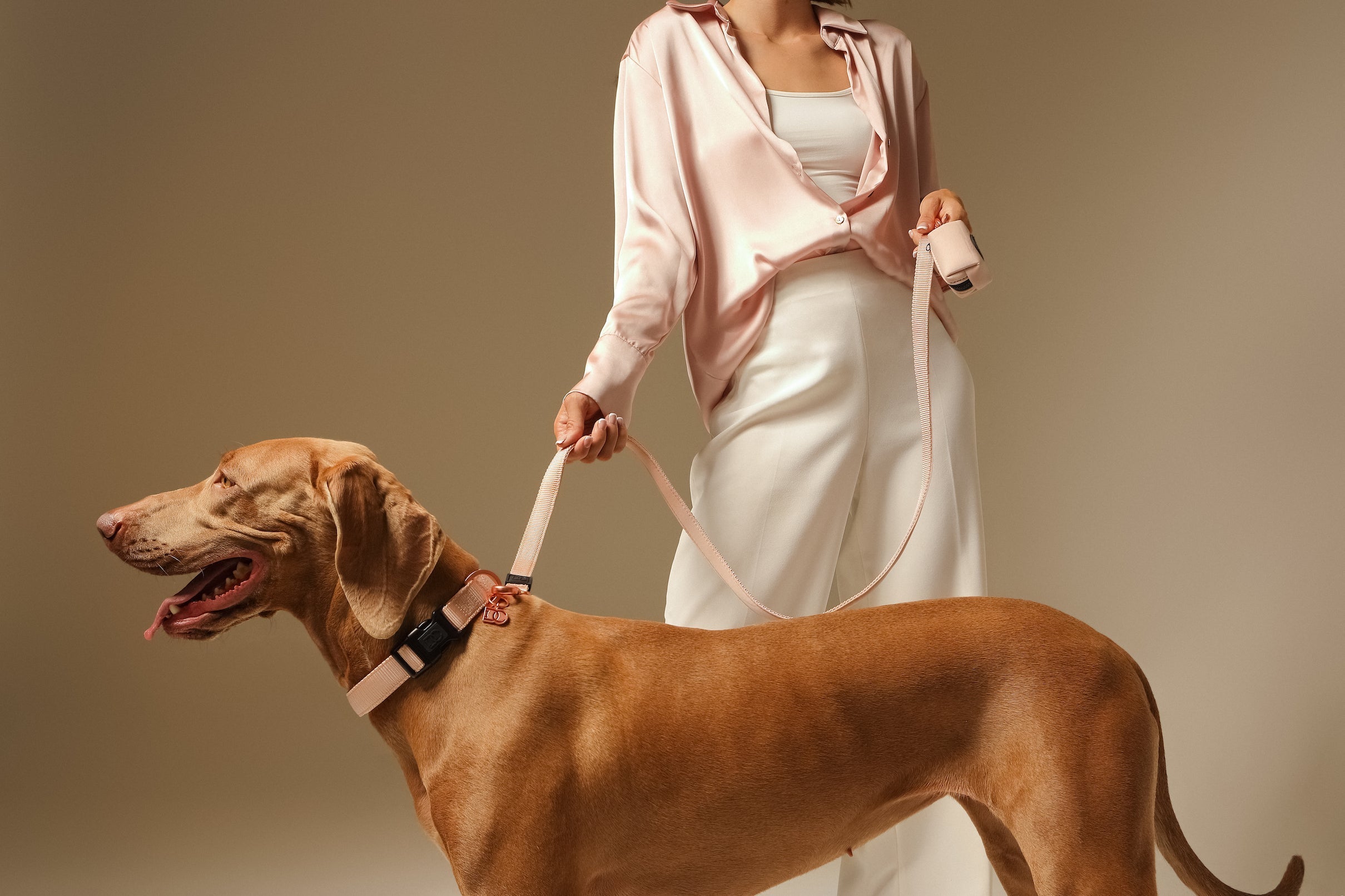 The Complete Guide to Choosing the Right Dog Leash