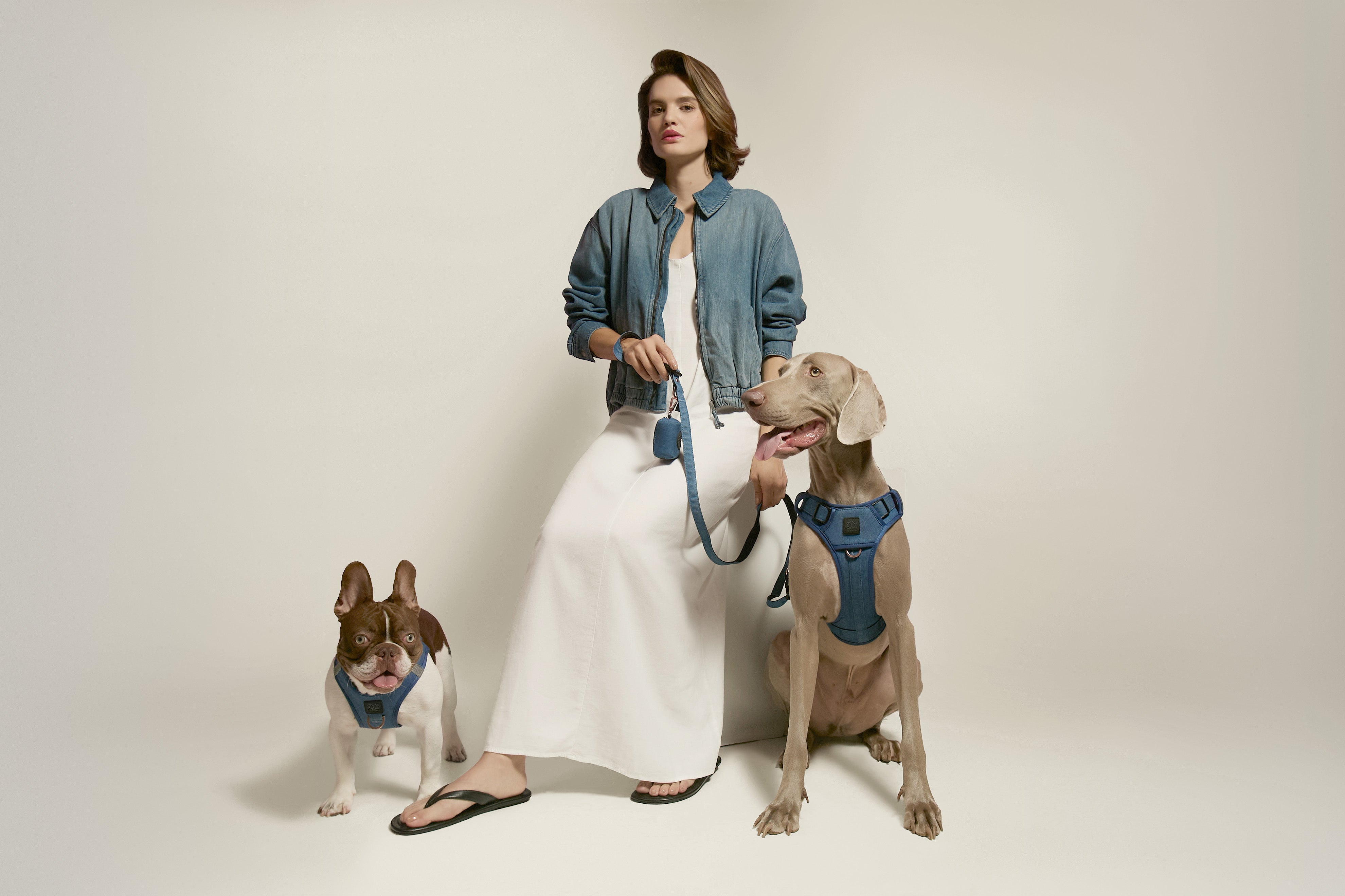 How to Coordinate Your Dog’s Accessories with Your Own Style