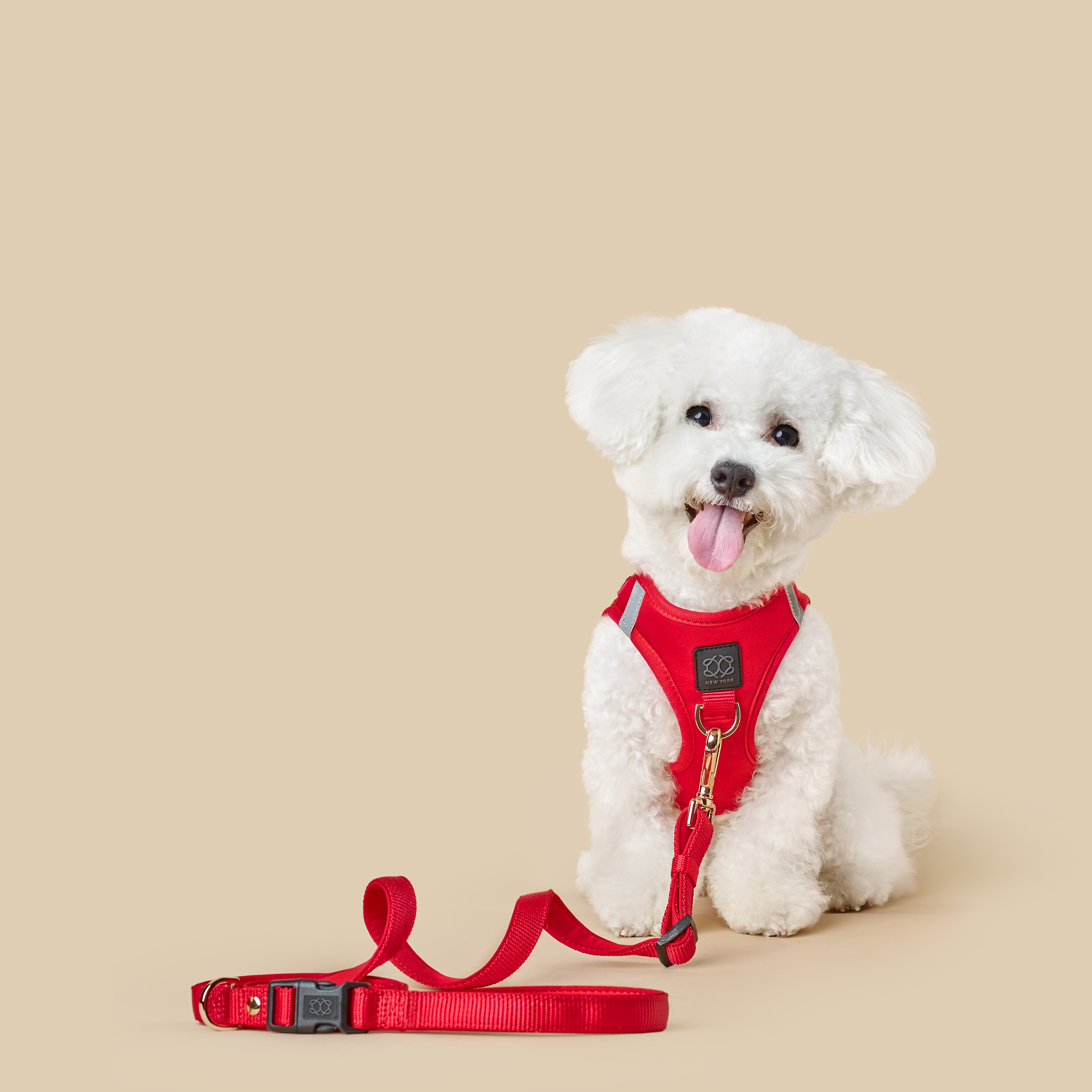 How to Choose the Perfect Dog Harness