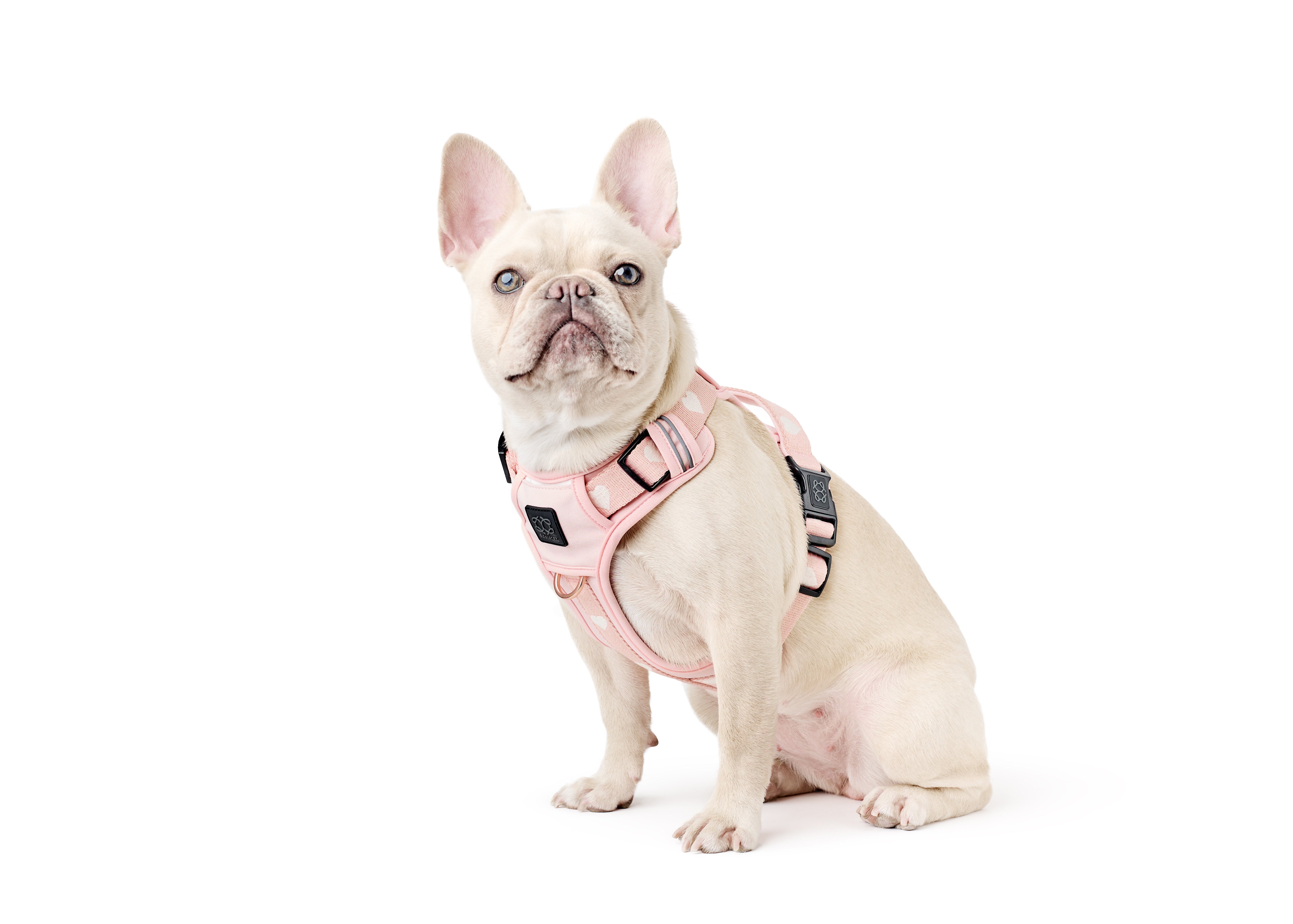 Best Dog Harnesses for Medium to Large Dogs: Comfort Meets Control