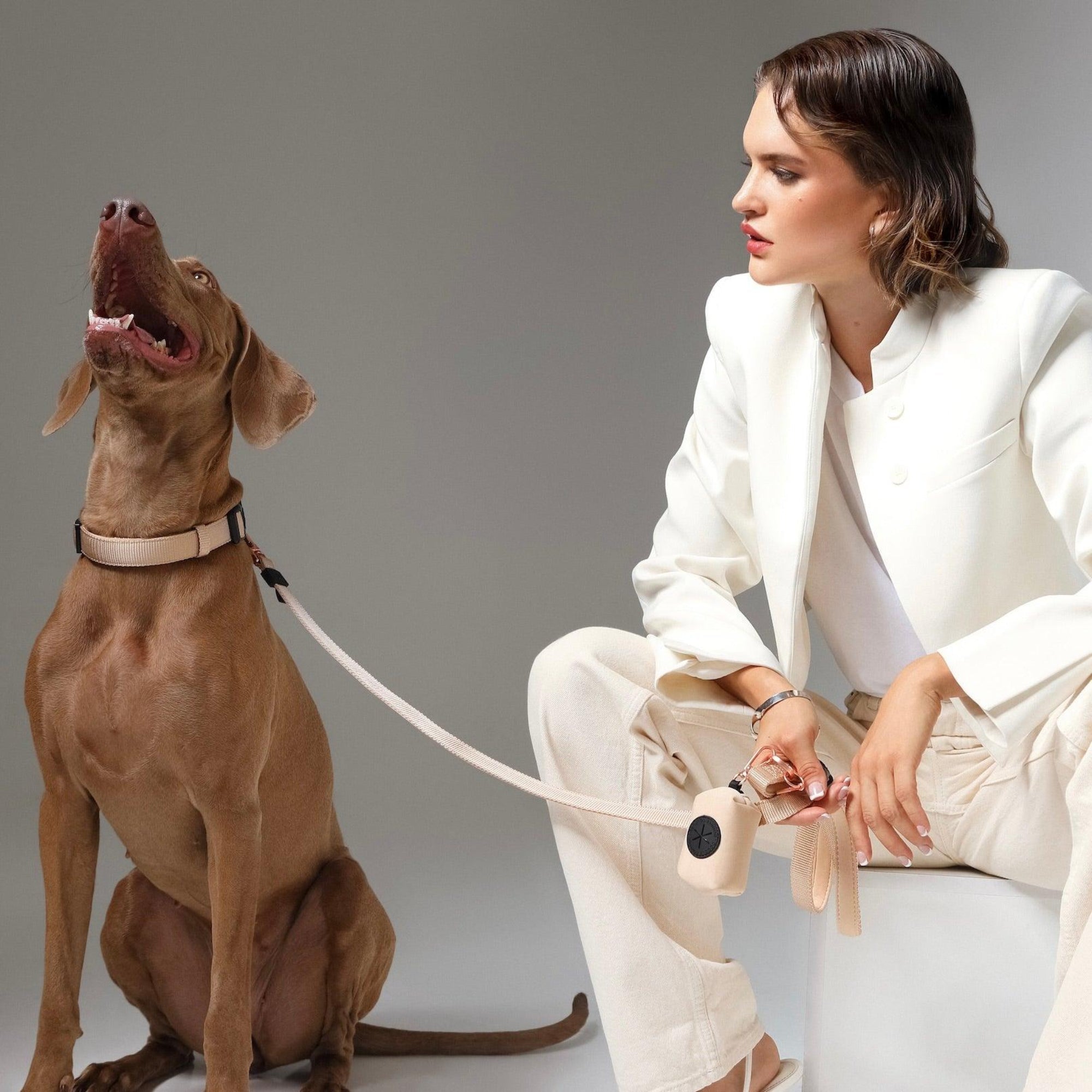 Why a Dog Poop Bag Holder Is a Small Accessory That Makes a Big Difference