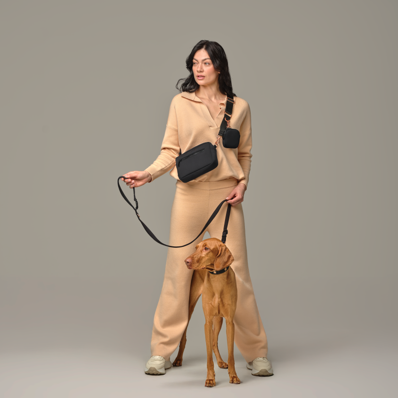 Why Dogistry Adjustable Dog Leashes Are Perfect for Everyday Walks, Training, and Outdoor Adventures