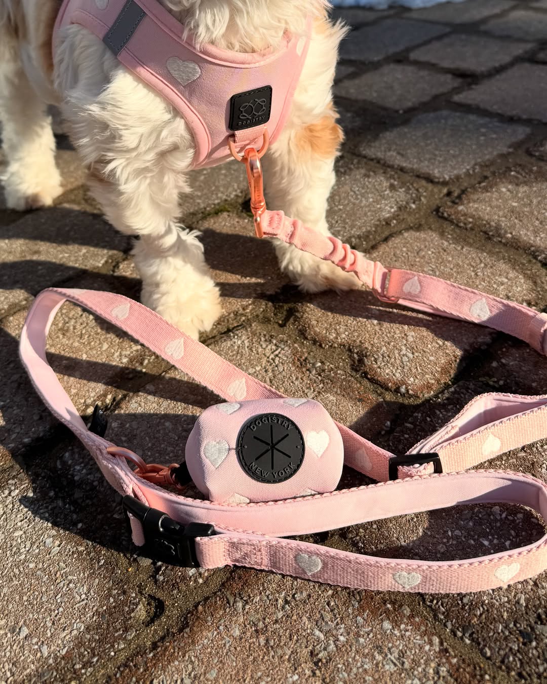 The Essential Guide to Choosing a Stylish DOGISTRY Poop Bag Holder for Everyday Walks