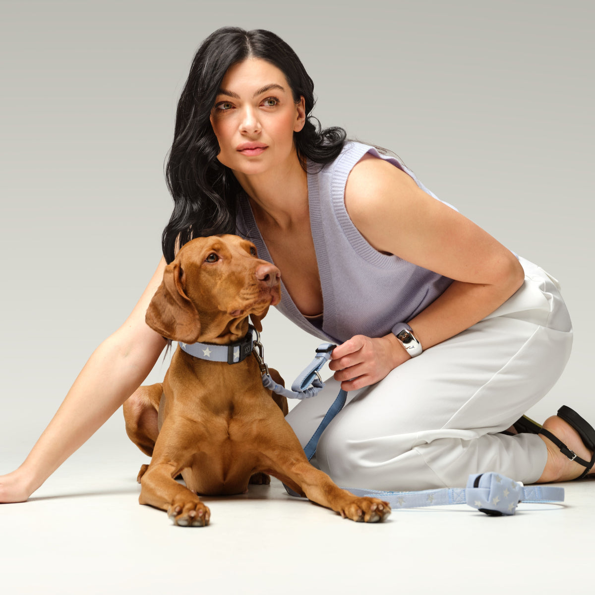 The DOGISTRY City Collar: A Practical Guide to Everyday Wear, Fit, and Style
