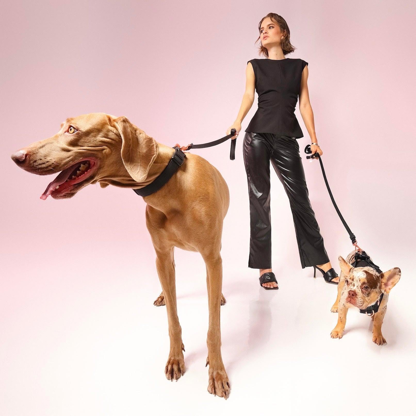 how do you stop a dog from pulling when walking