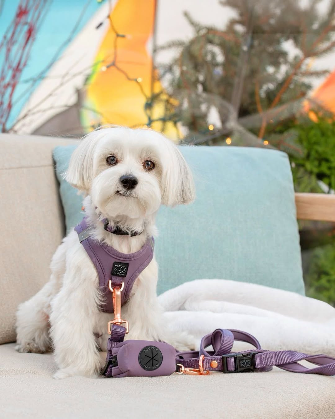 Complete City Walking Sets That Make Walks Stylish and Simple