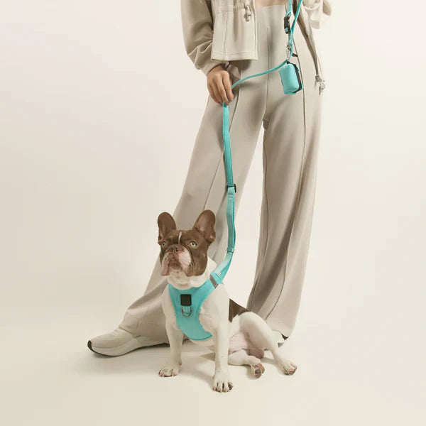 Harnesses