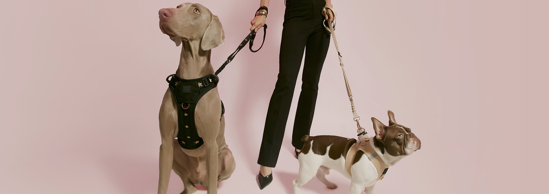 Dog Harness and Leash Sets