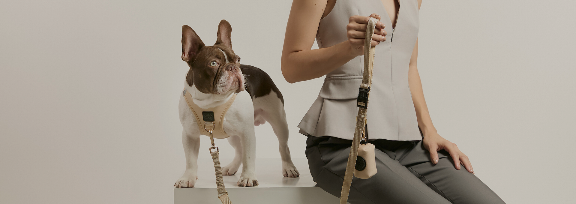 designer dog leashes and collars, designer dog collar and leash, pet accessories designer, fancy harness for dogs, luxury dog harness, fancy dog stuff, pet accessories designer, stylish dog leash