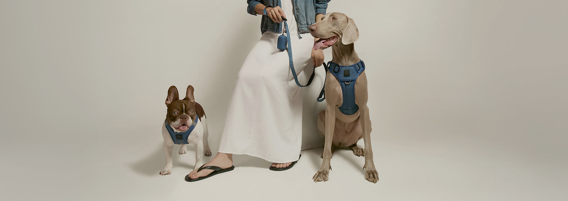 Award-Winning, No-Pull Luxe Dog Harnesses - Doodle Couture