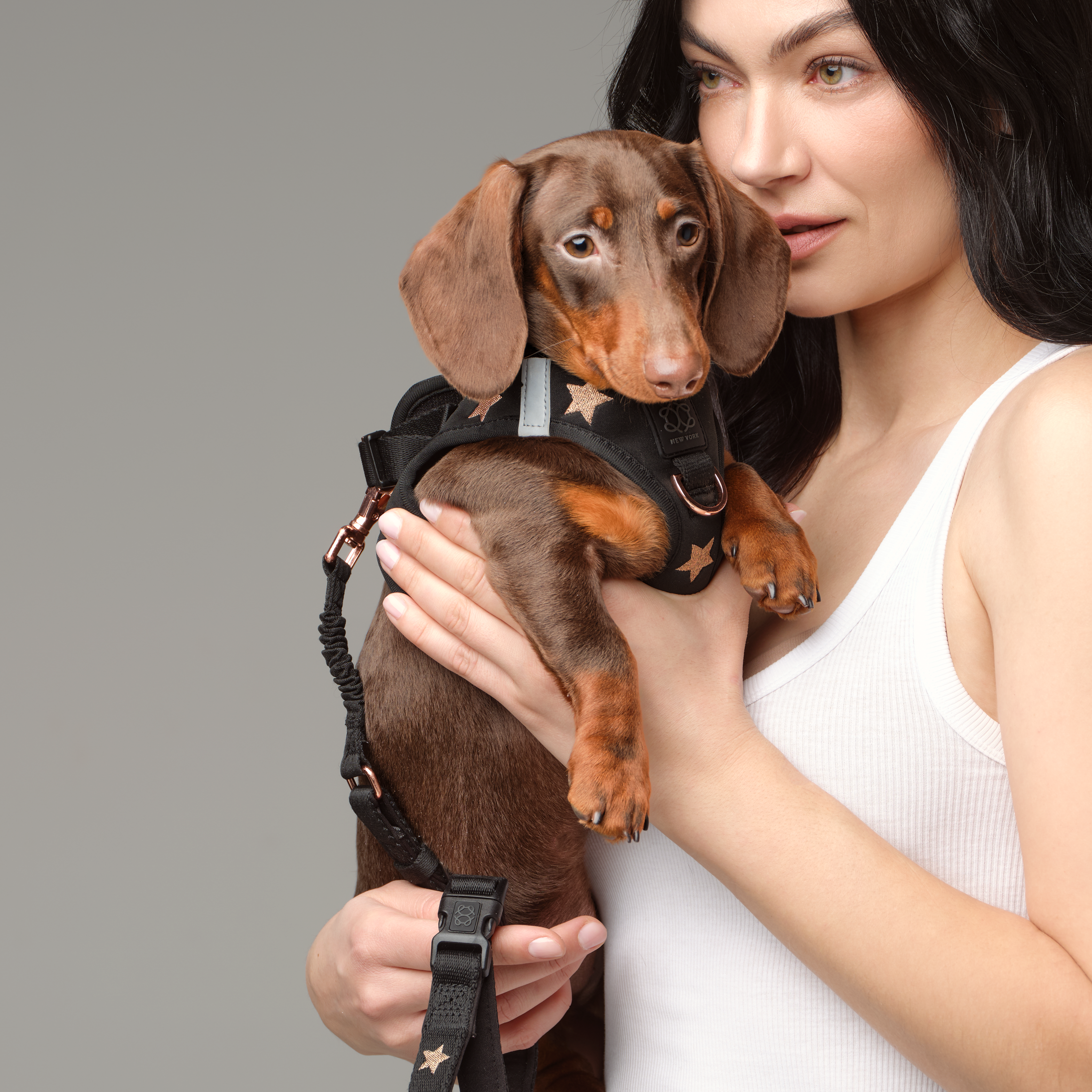 City Leash Set - Rockstar