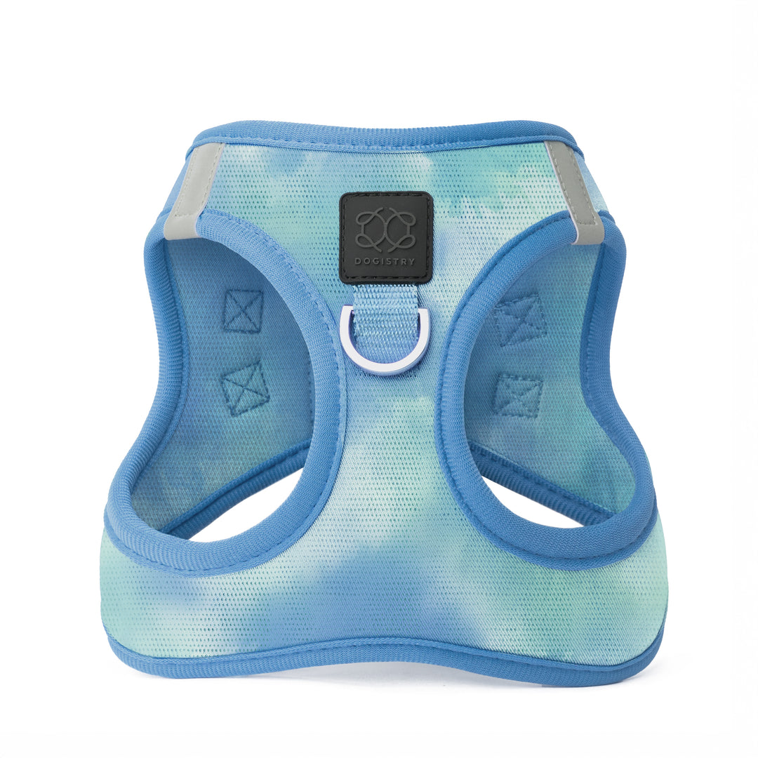 designer dog leashes and collars, designer dog collar and leash, pet accessories designer, fancy harness for dogs, luxury dog harness, fancy dog stuff, pet accessories designer, stylish dog leash