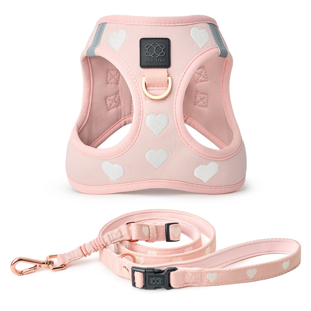 designer dog leashes and collars, designer dog collar and leash, pet accessories designer, fancy harness for dogs, luxury dog harness, fancy dog stuff, pet accessories designer, stylish dog leash