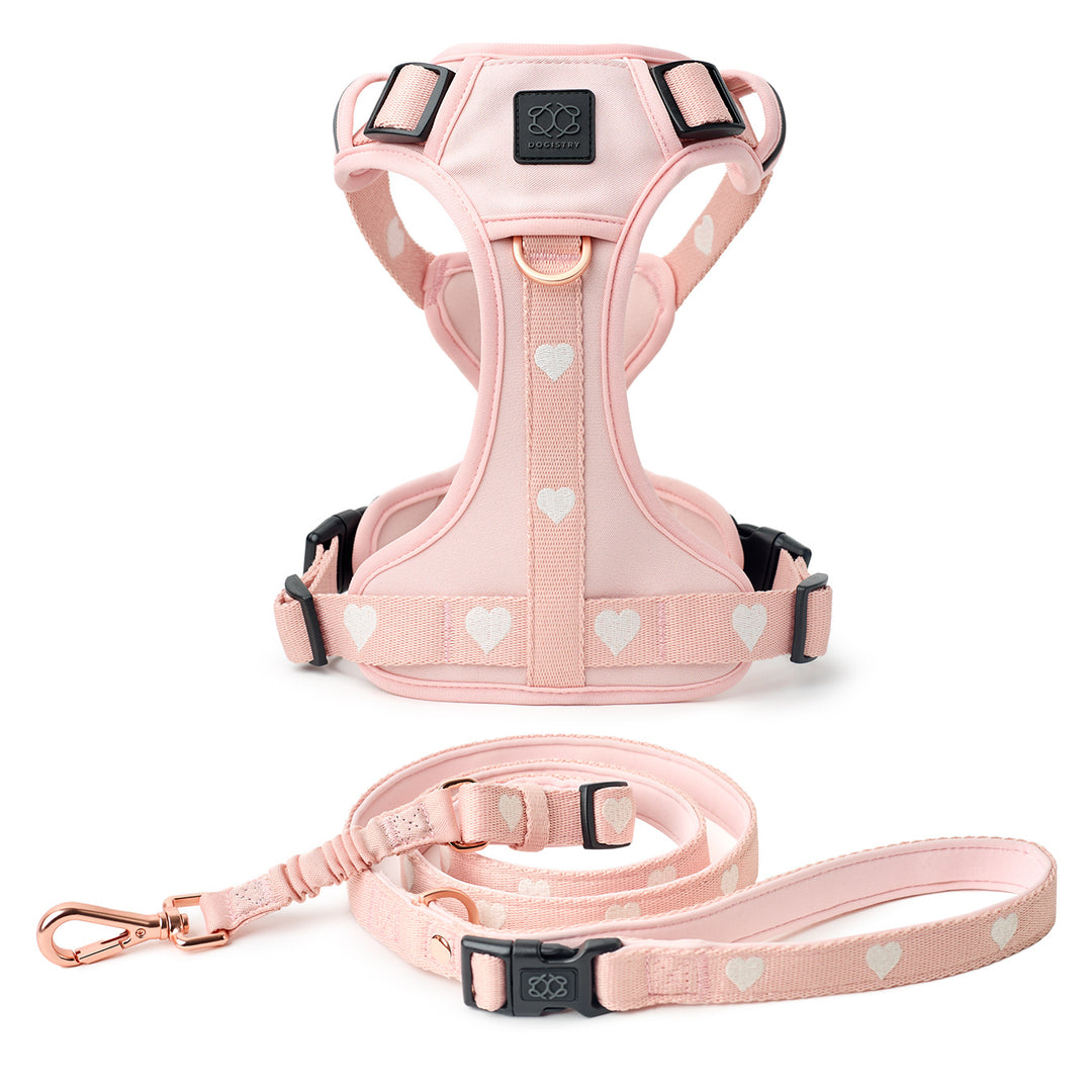 designer dog leashes and collars, designer dog collar and leash, pet accessories designer, fancy harness for dogs, luxury dog harness, fancy dog stuff, pet accessories designer, stylish dog leash