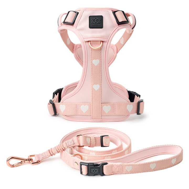designer dog leashes and collars, designer dog collar and leash, pet accessories designer, fancy harness for dogs, luxury dog harness, fancy dog stuff, pet accessories designer, stylish dog leash