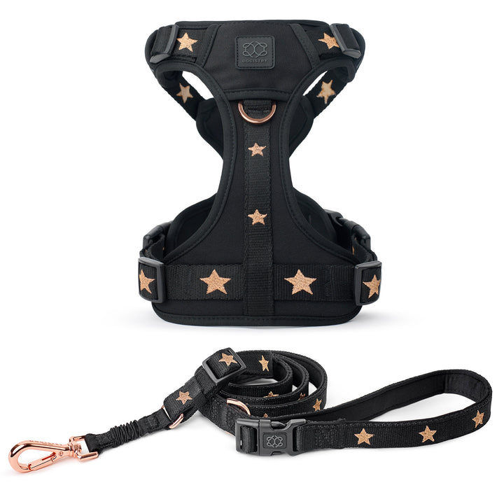 designer dog leashes and collars, designer dog collar and leash, pet accessories designer, fancy harness for dogs, luxury dog harness, fancy dog stuff, pet accessories designer, stylish dog leash