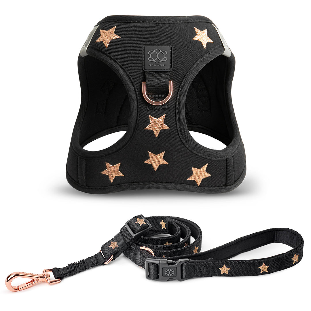 designer dog leashes and collars, designer dog collar and leash, pet accessories designer, fancy harness for dogs, luxury dog harness, fancy dog stuff, pet accessories designer, stylish dog leash