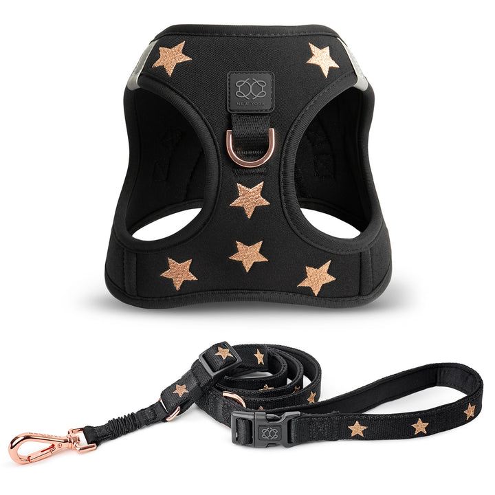 designer dog leashes and collars, designer dog collar and leash, pet accessories designer, fancy harness for dogs, luxury dog harness, fancy dog stuff, pet accessories designer, stylish dog leash