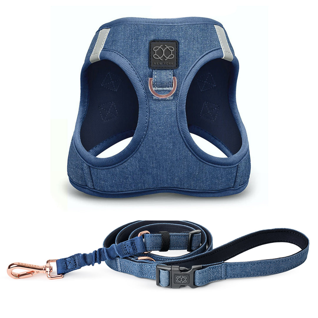 designer dog leashes and collars, designer dog collar and leash, pet accessories designer, fancy harness for dogs, luxury dog harness, fancy dog stuff, pet accessories designer, stylish dog leash