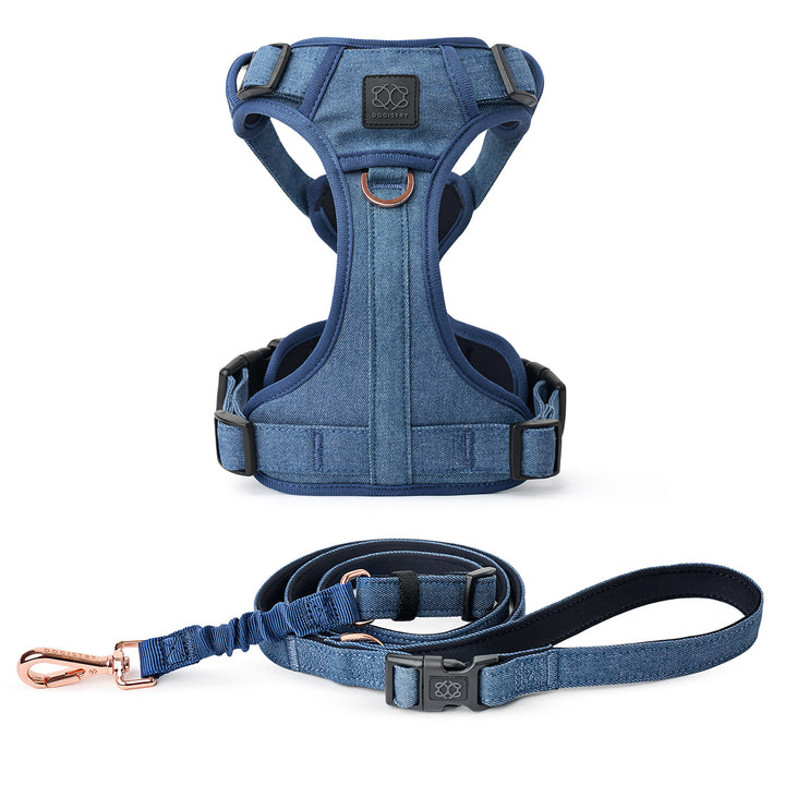designer dog leashes and collars, designer dog collar and leash, pet accessories designer, fancy harness for dogs, luxury dog harness, fancy dog stuff, pet accessories designer, stylish dog leash