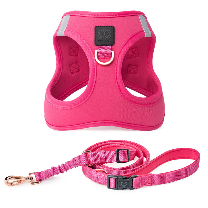 designer dog leashes and collars, designer dog collar and leash, pet accessories designer, fancy harness for dogs, luxury dog harness, fancy dog stuff, pet accessories designer, stylish dog leash