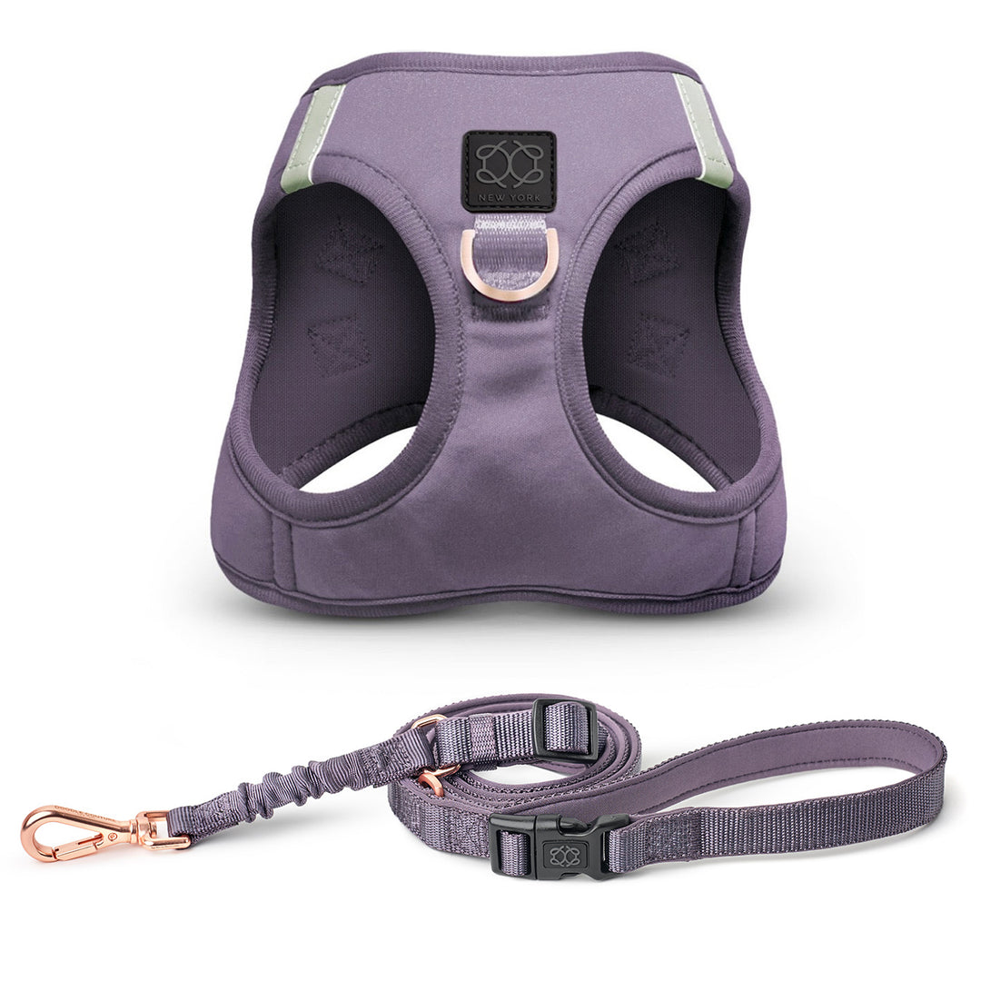 designer dog leashes and collars, designer dog collar and leash, pet accessories designer, fancy harness for dogs, luxury dog harness, fancy dog stuff, pet accessories designer, stylish dog leash