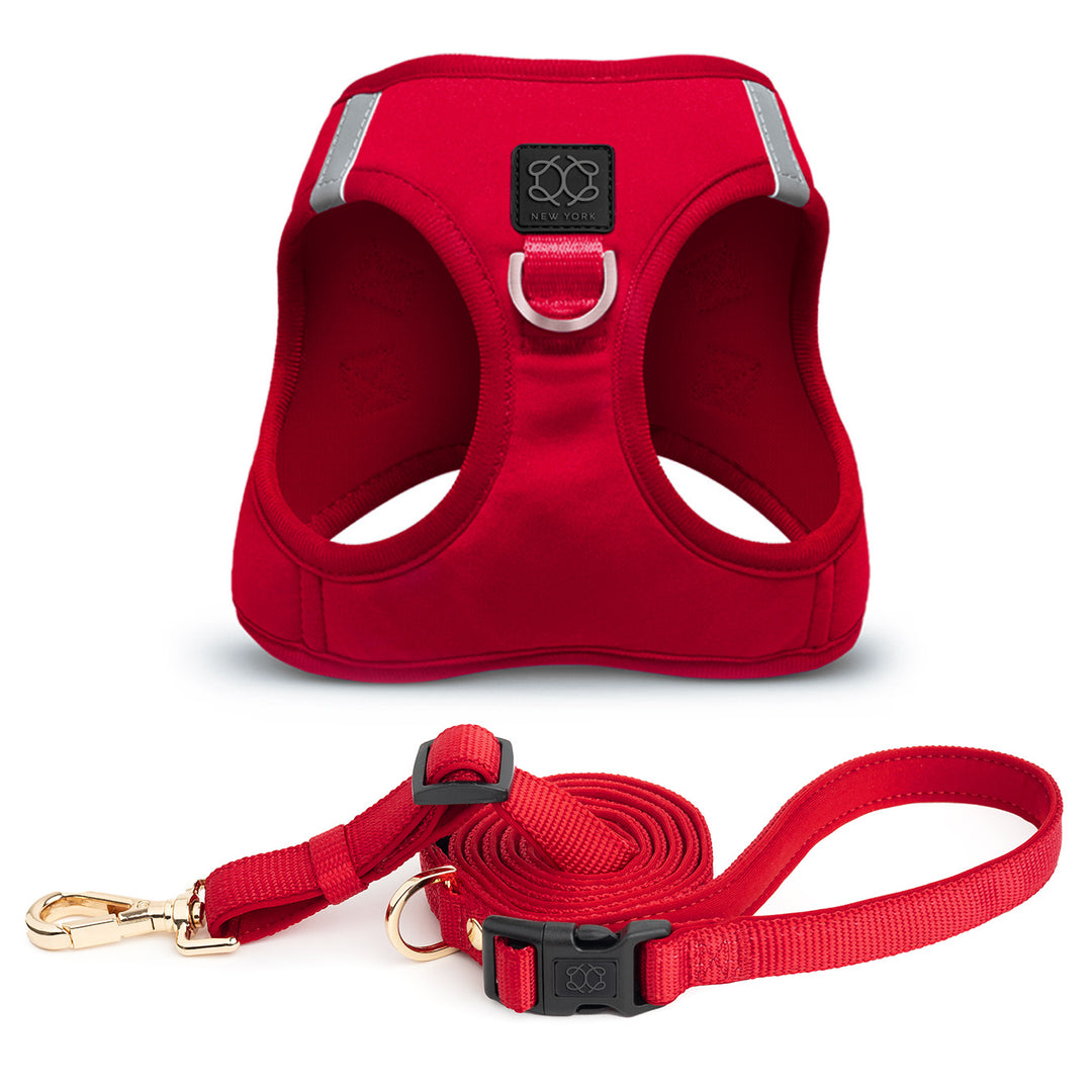designer dog leashes and collars, designer dog collar and leash, pet accessories designer, fancy harness for dogs, luxury dog harness, fancy dog stuff, pet accessories designer, stylish dog leash