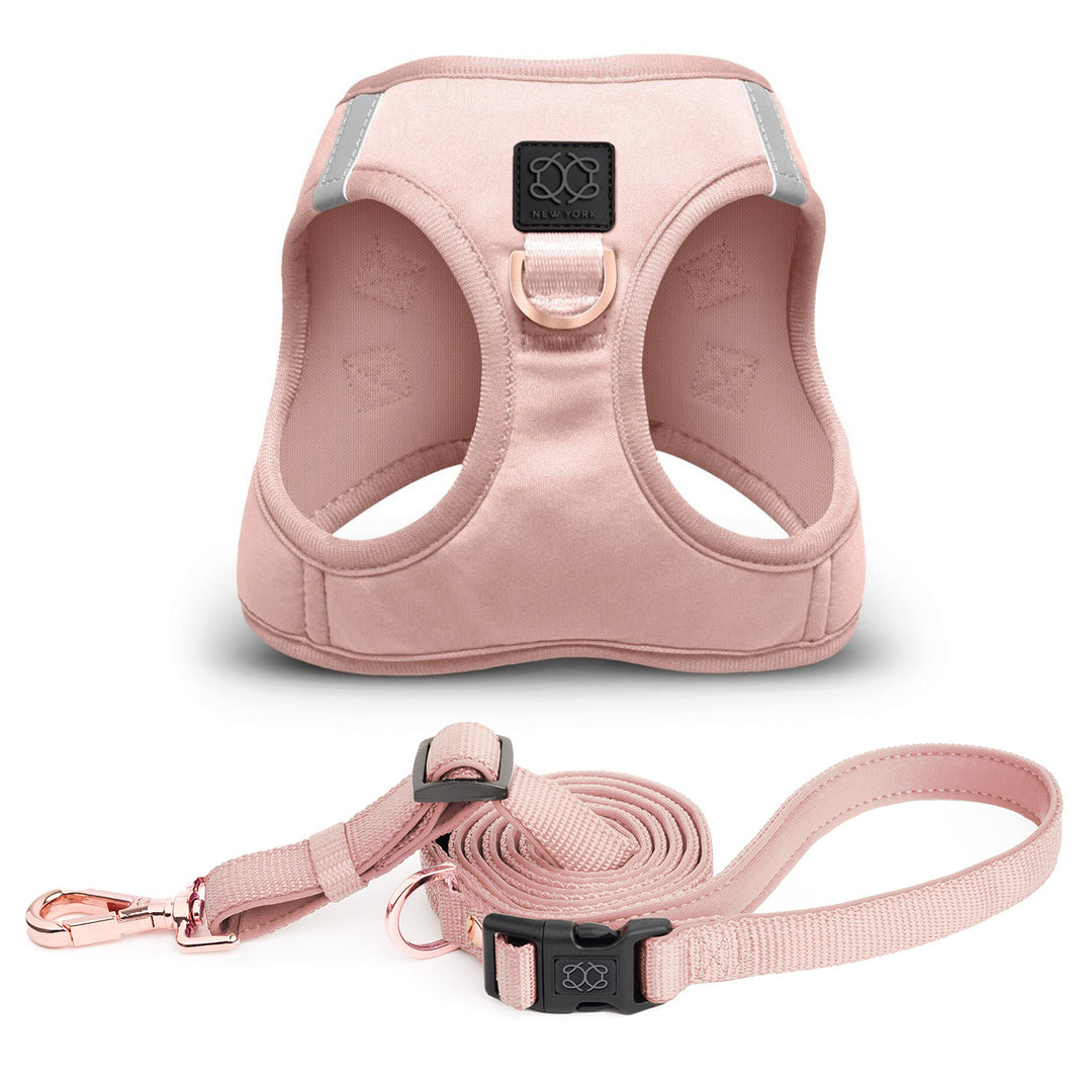 designer dog leashes and collars, designer dog collar and leash, pet accessories designer, fancy harness for dogs, luxury dog harness, fancy dog stuff, pet accessories designer, stylish dog leash