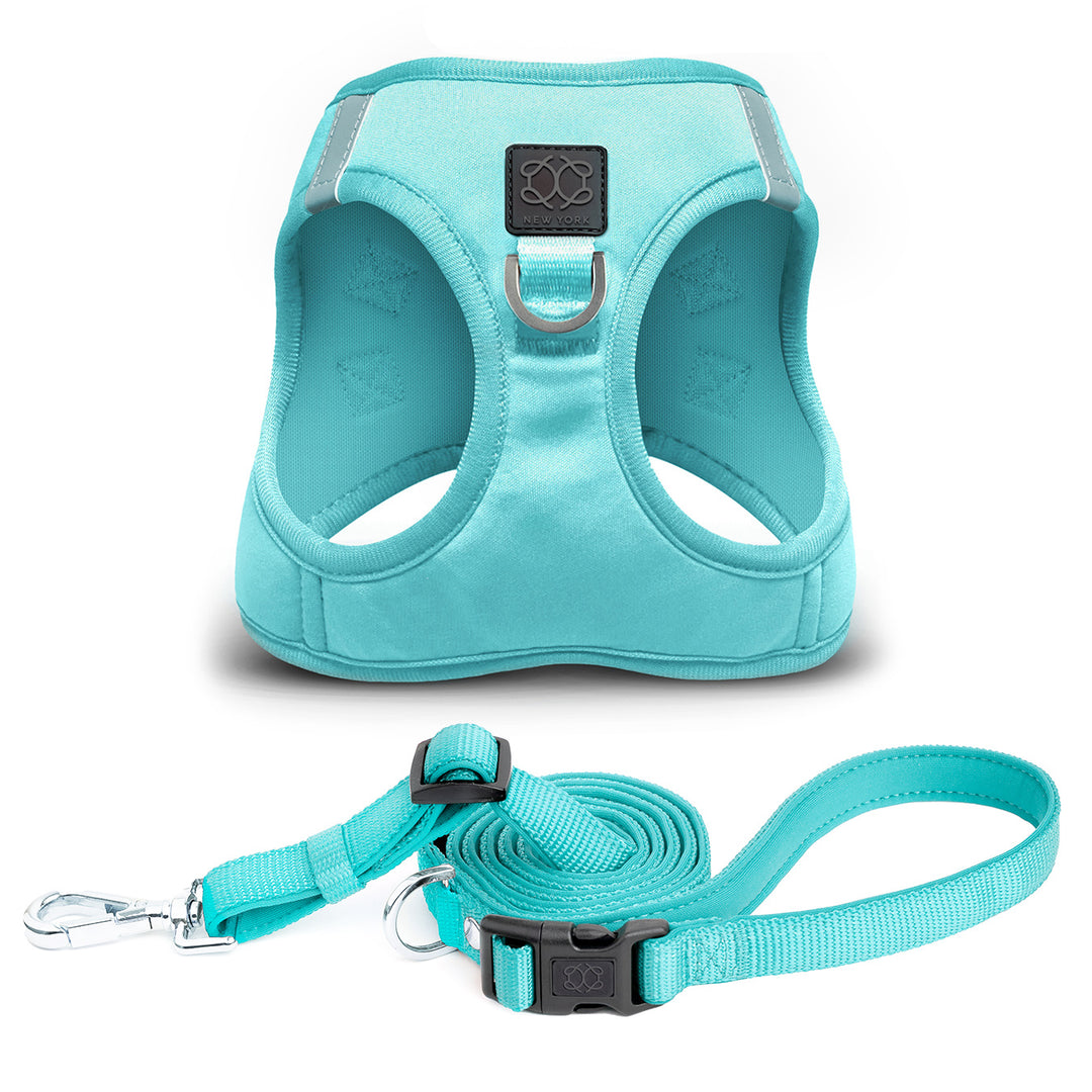 designer dog leashes and collars, designer dog collar and leash, pet accessories designer, fancy harness for dogs, luxury dog harness, fancy dog stuff, pet accessories designer, stylish dog leash