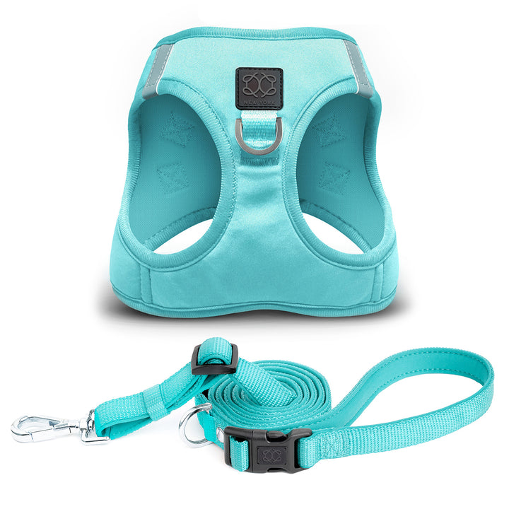 designer dog leashes and collars, designer dog collar and leash, pet accessories designer, fancy harness for dogs, luxury dog harness, fancy dog stuff, pet accessories designer, stylish dog leash