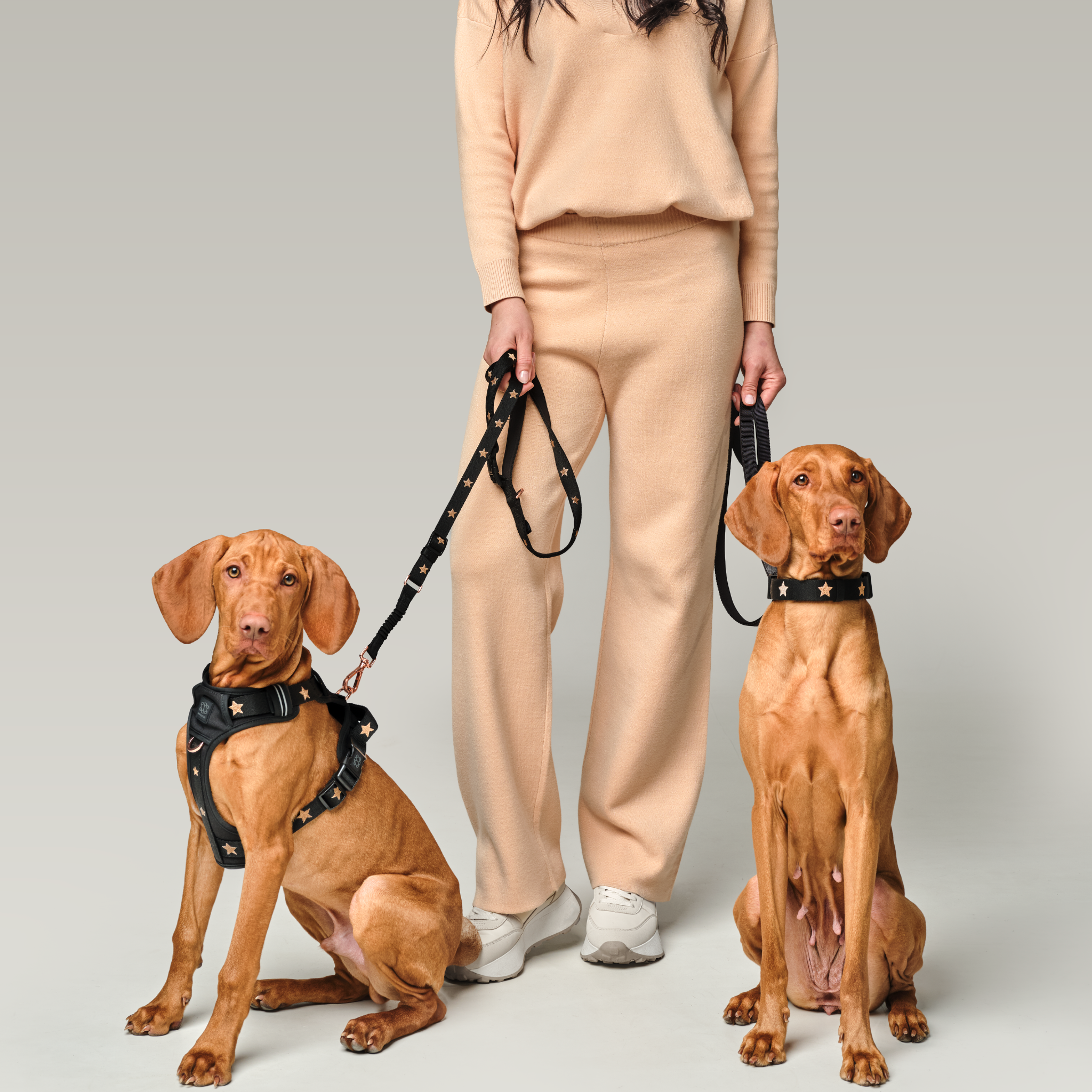 3-in-1 City Dog Leash - Rockstar