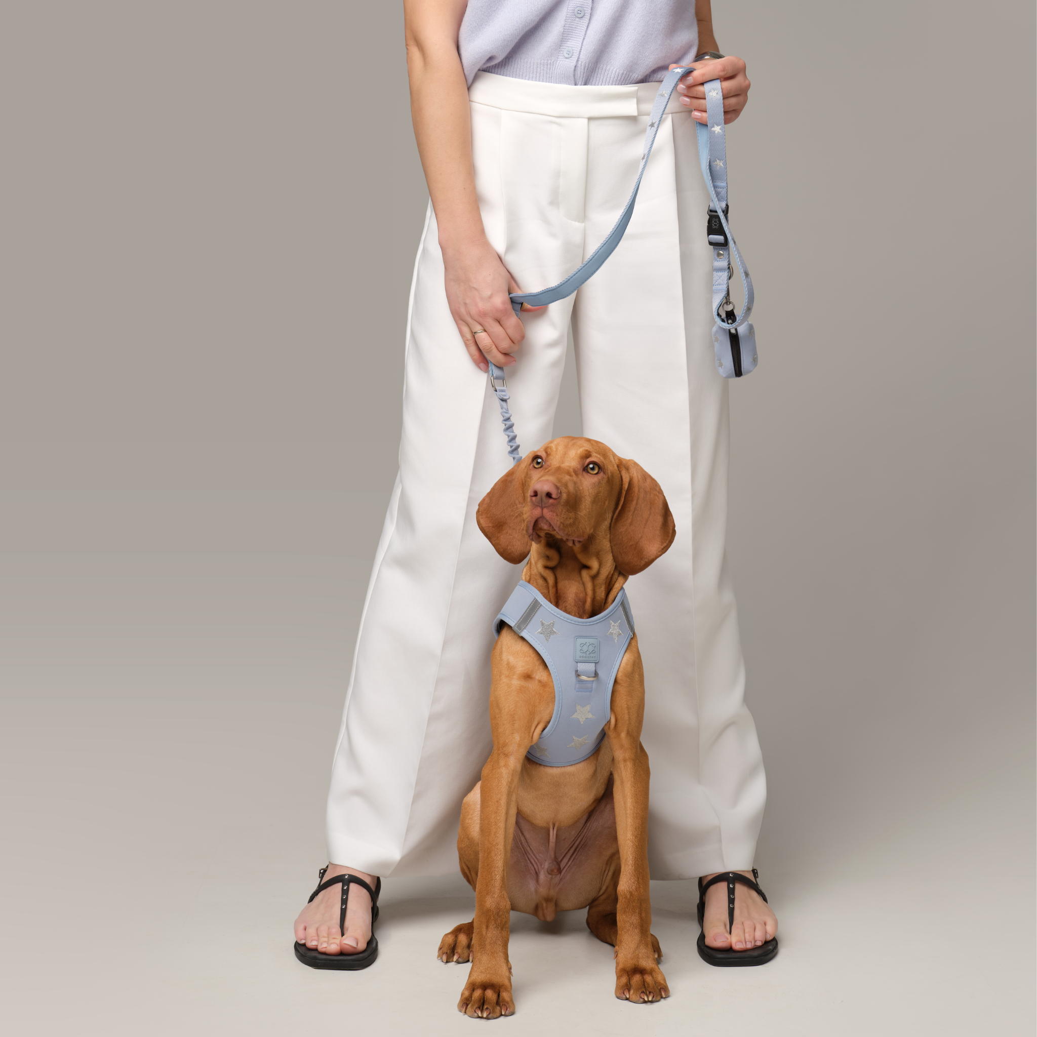 SoHo Dog Walking Set - Rockstar Hudson