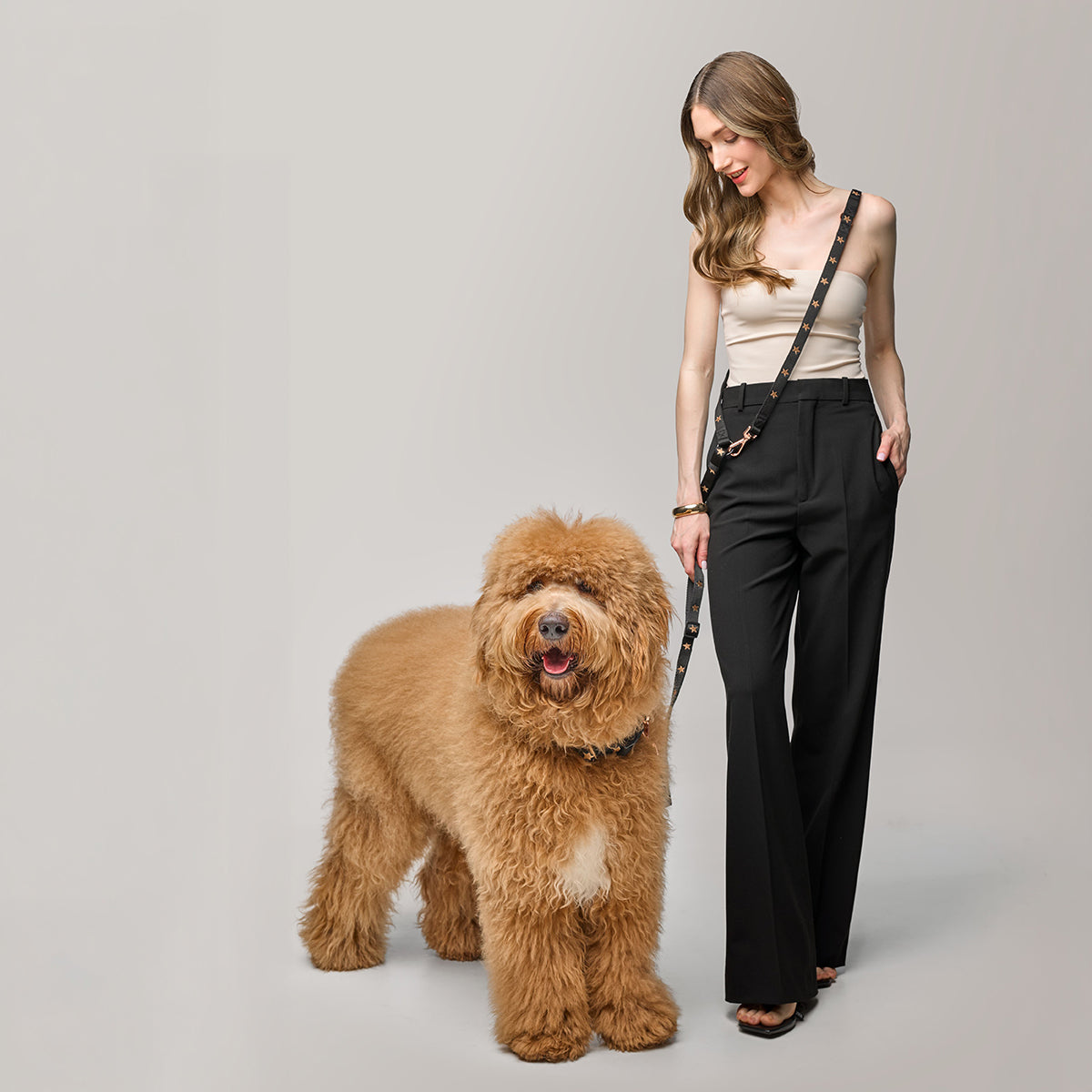 SoHo Dog Walking Set - Rockstar