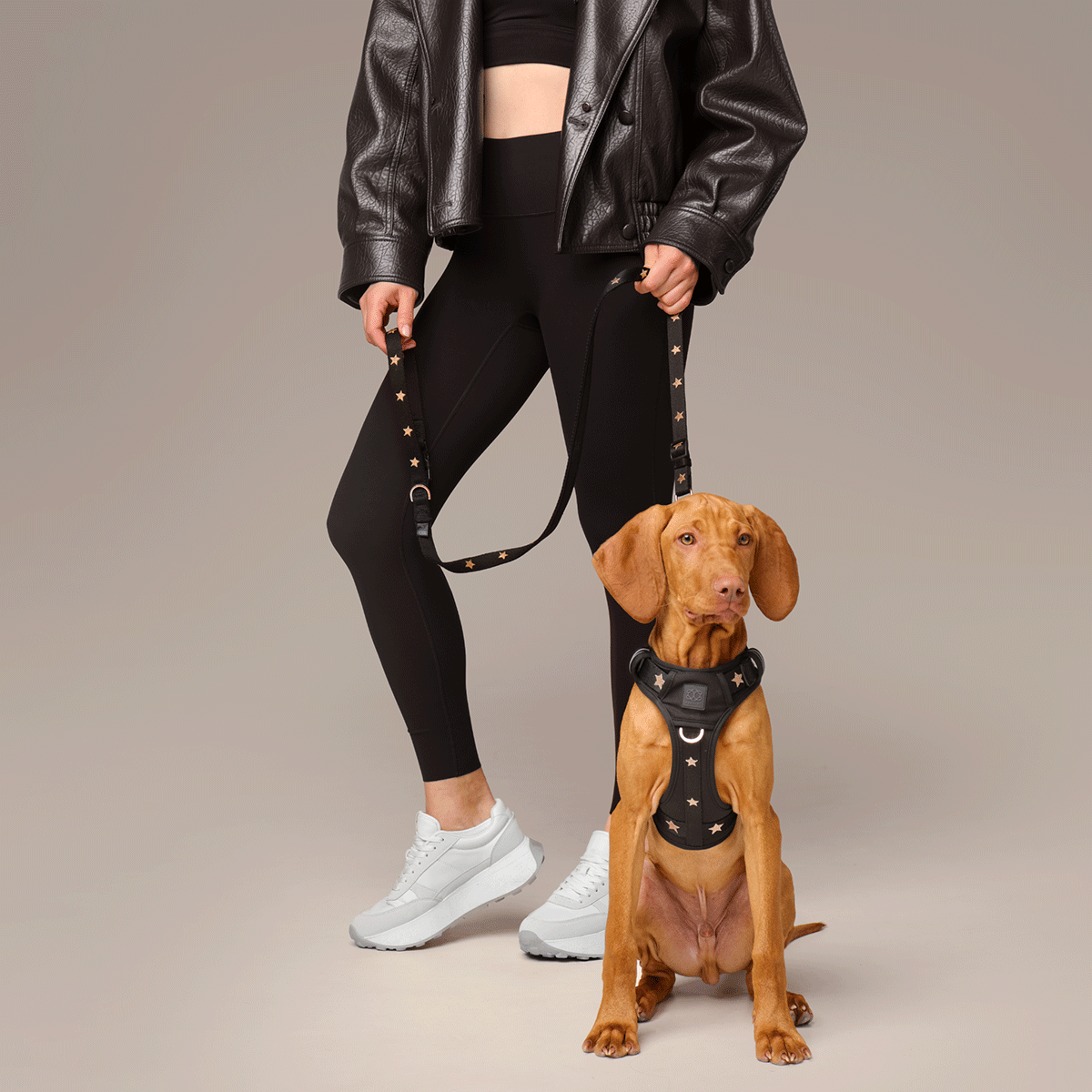 NoMad Adjustable Dog Walking Set - Rockstar