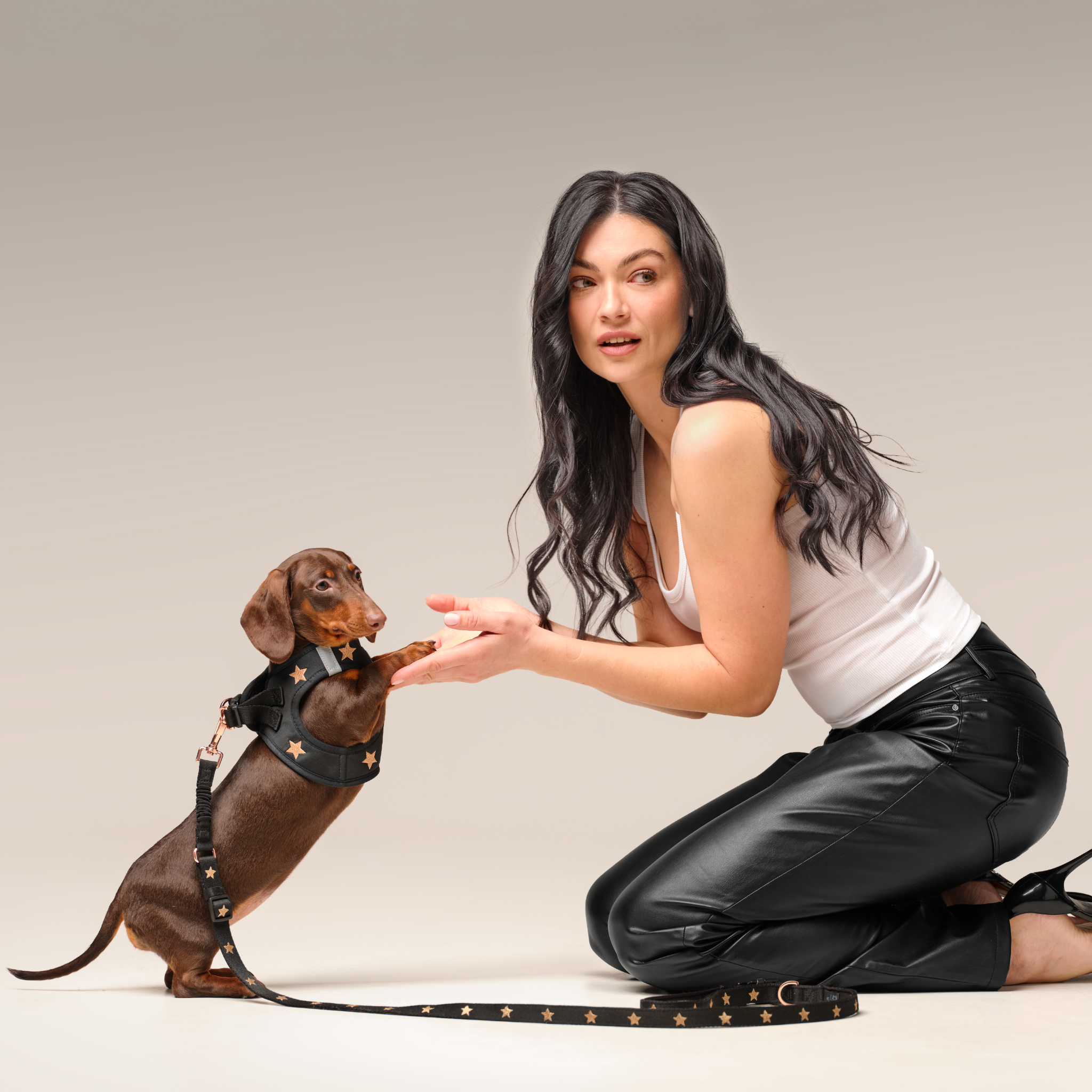 3-in-1 City Dog Leash - Rockstar