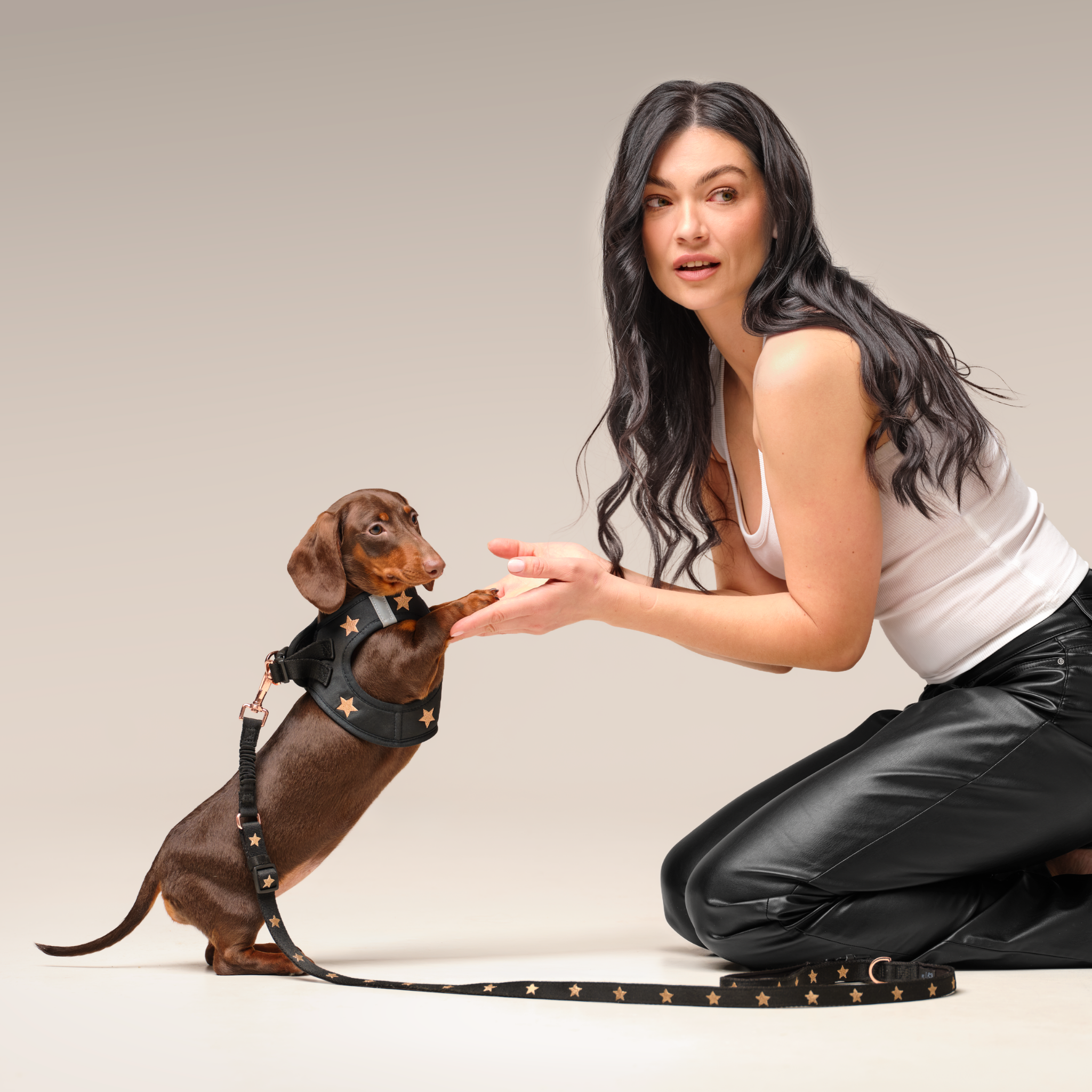 City Leash Set - Rockstar