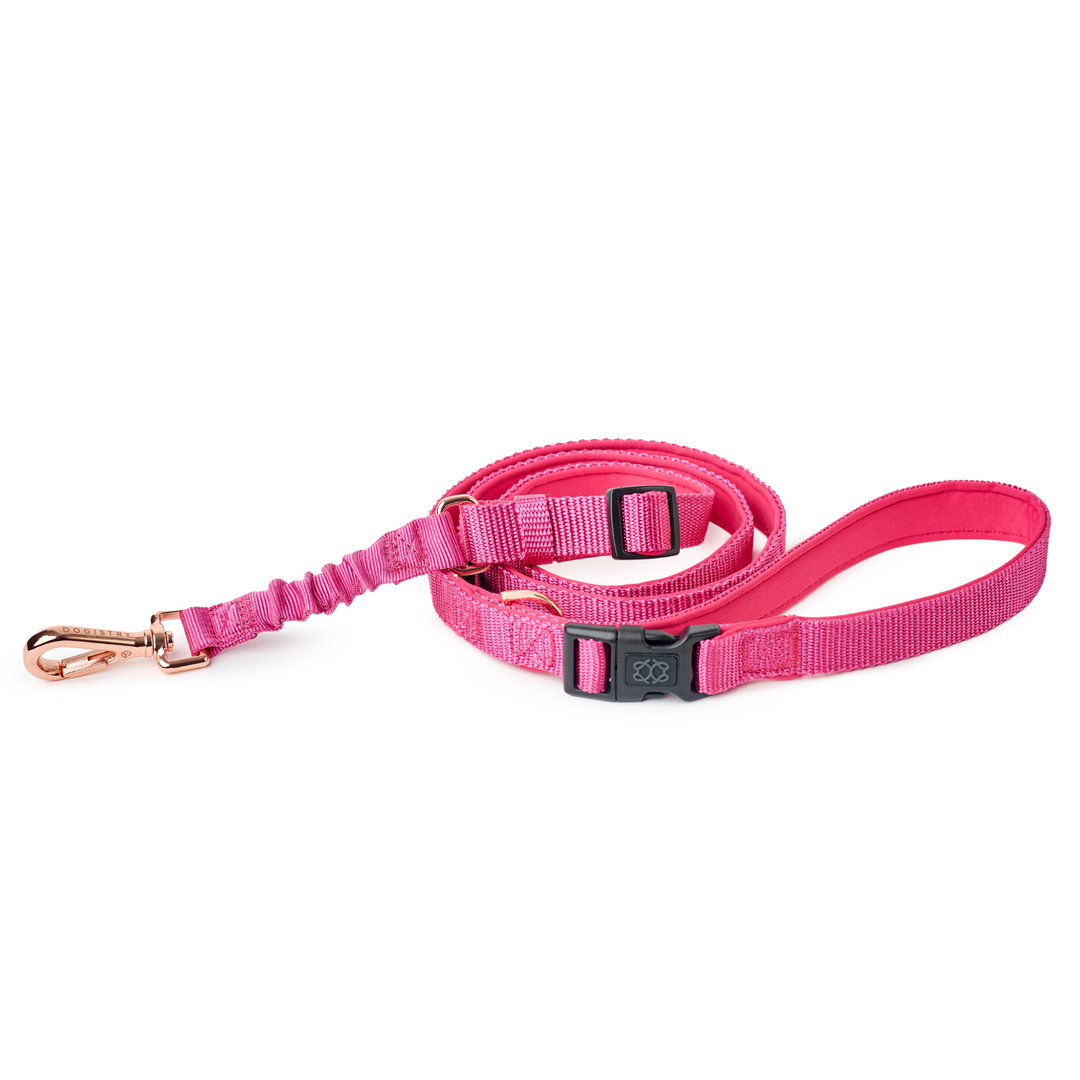 designer dog leashes and collars, designer dog collar and leash, pet accessories designer, fancy harness for dogs, luxury dog harness, fancy dog stuff, pet accessories designer, stylish dog leash