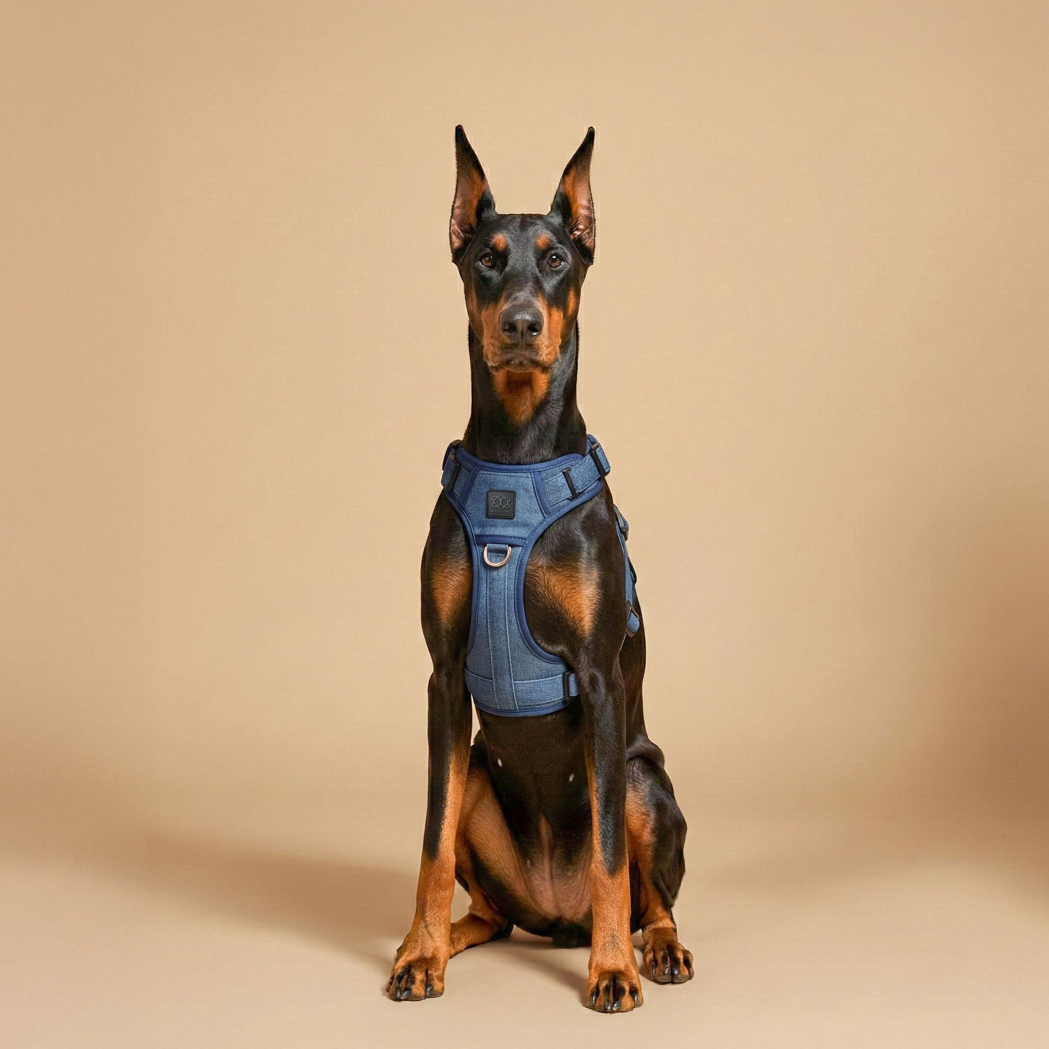 The NoMad Adjustable Luxe Harness - Denim