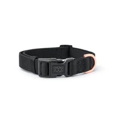 SoHo Complete Dog Walking Set - Black