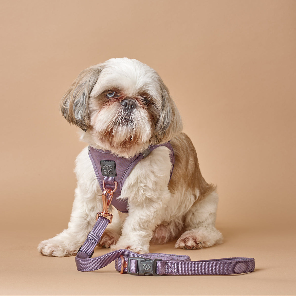 designer dog leashes and collars, designer dog collar and leash, pet accessories designer, fancy harness for dogs, luxury dog harness, fancy dog stuff, pet accessories designer, stylish dog leash