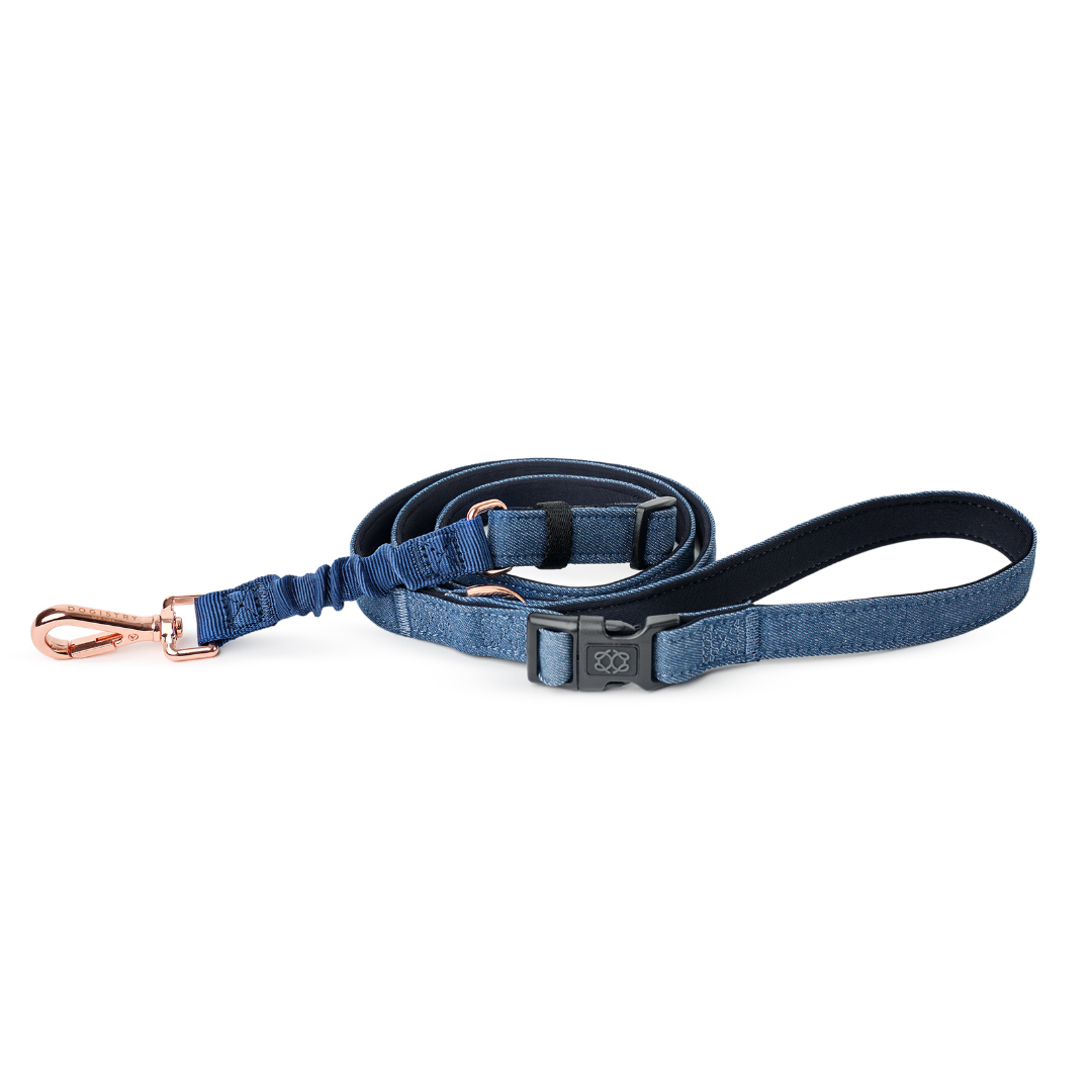 designer dog leashes and collars, designer dog collar and leash, pet accessories designer, fancy harness for dogs, luxury dog harness, fancy dog stuff, pet accessories designer, stylish dog leash