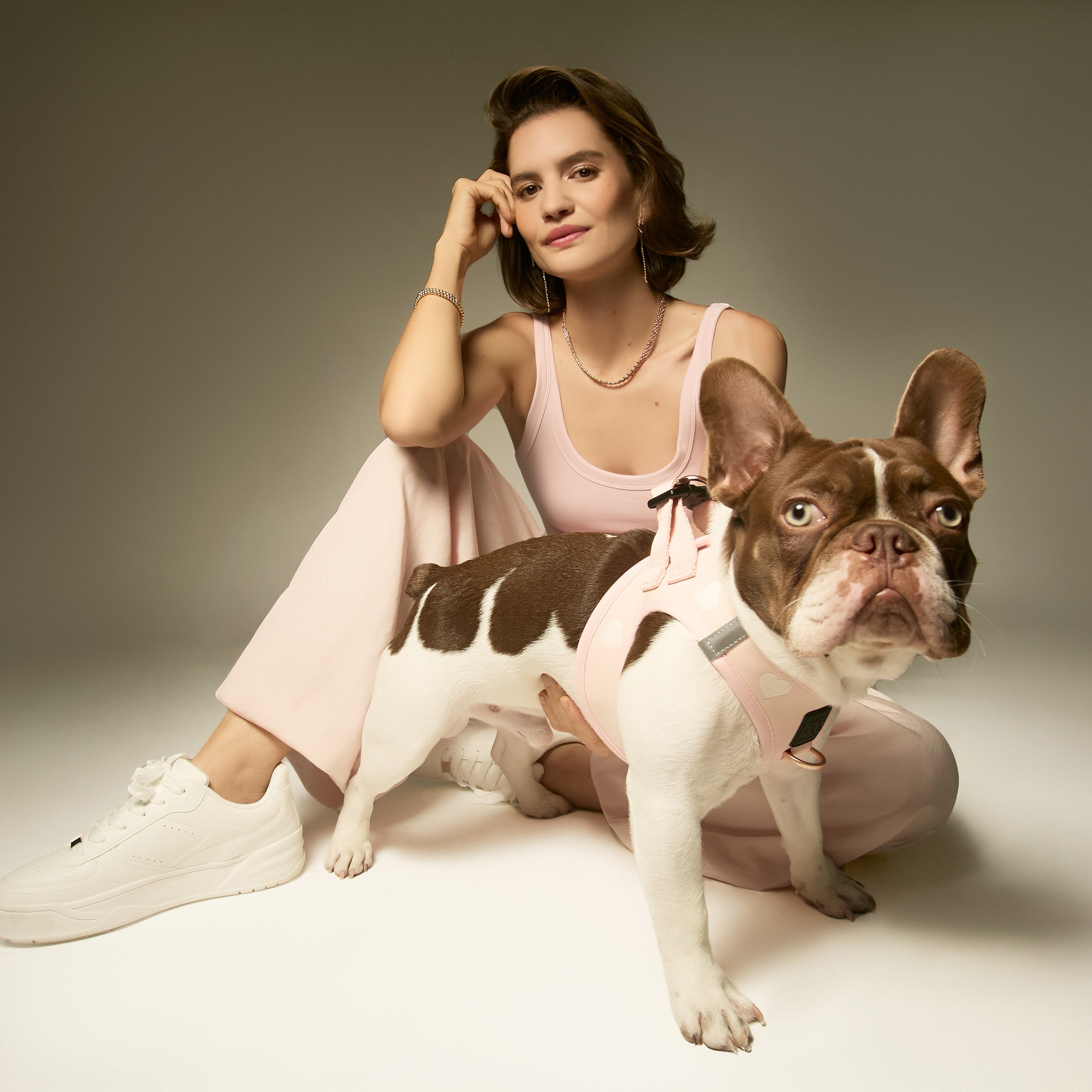 designer dog leashes and collars, designer dog collar and leash, pet accessories designer, fancy harness for dogs, luxury dog harness, fancy dog stuff, pet accessories designer, stylish dog leash