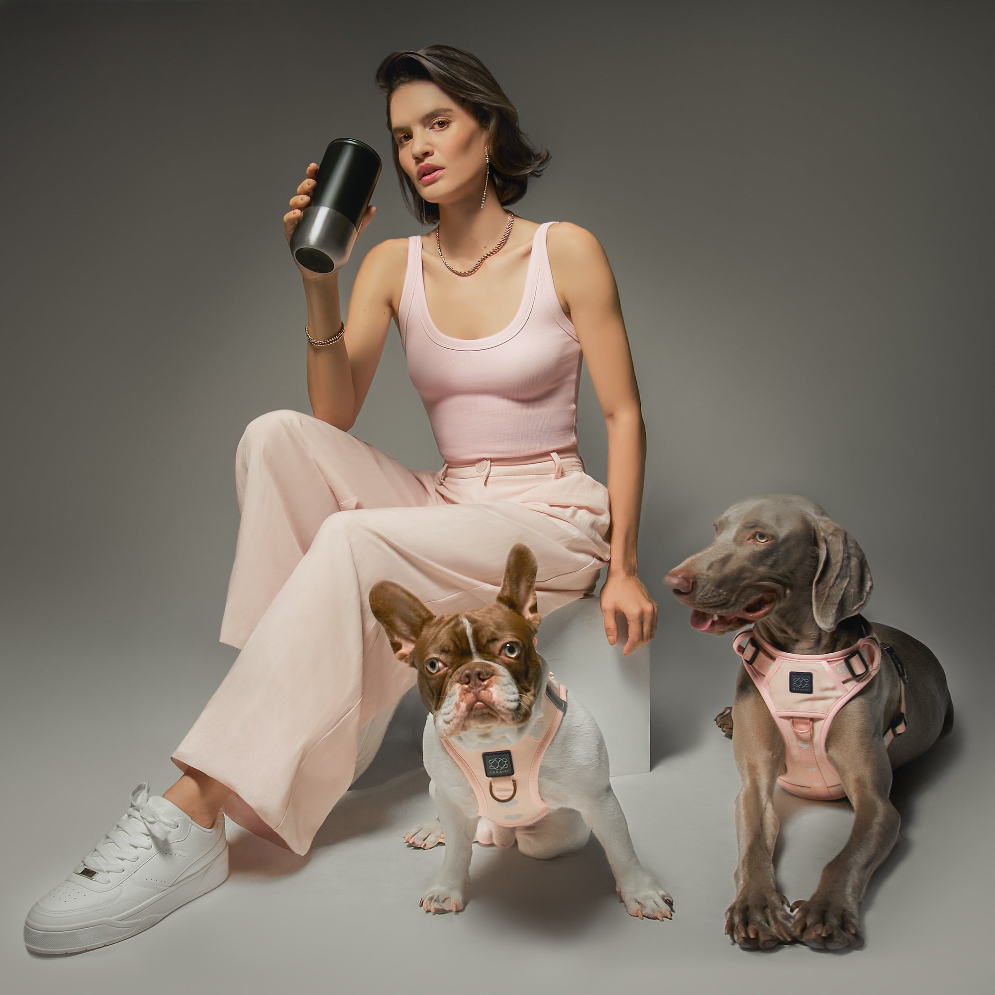 designer dog leashes and collars, designer dog collar and leash, pet accessories designer, fancy harness for dogs, luxury dog harness, fancy dog stuff, pet accessories designer, stylish dog leash