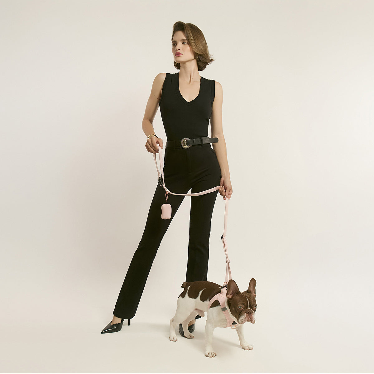 designer dog leashes and collars, designer dog collar and leash, pet accessories designer, fancy harness for dogs, luxury dog harness, fancy dog stuff, pet accessories designer, stylish dog leash