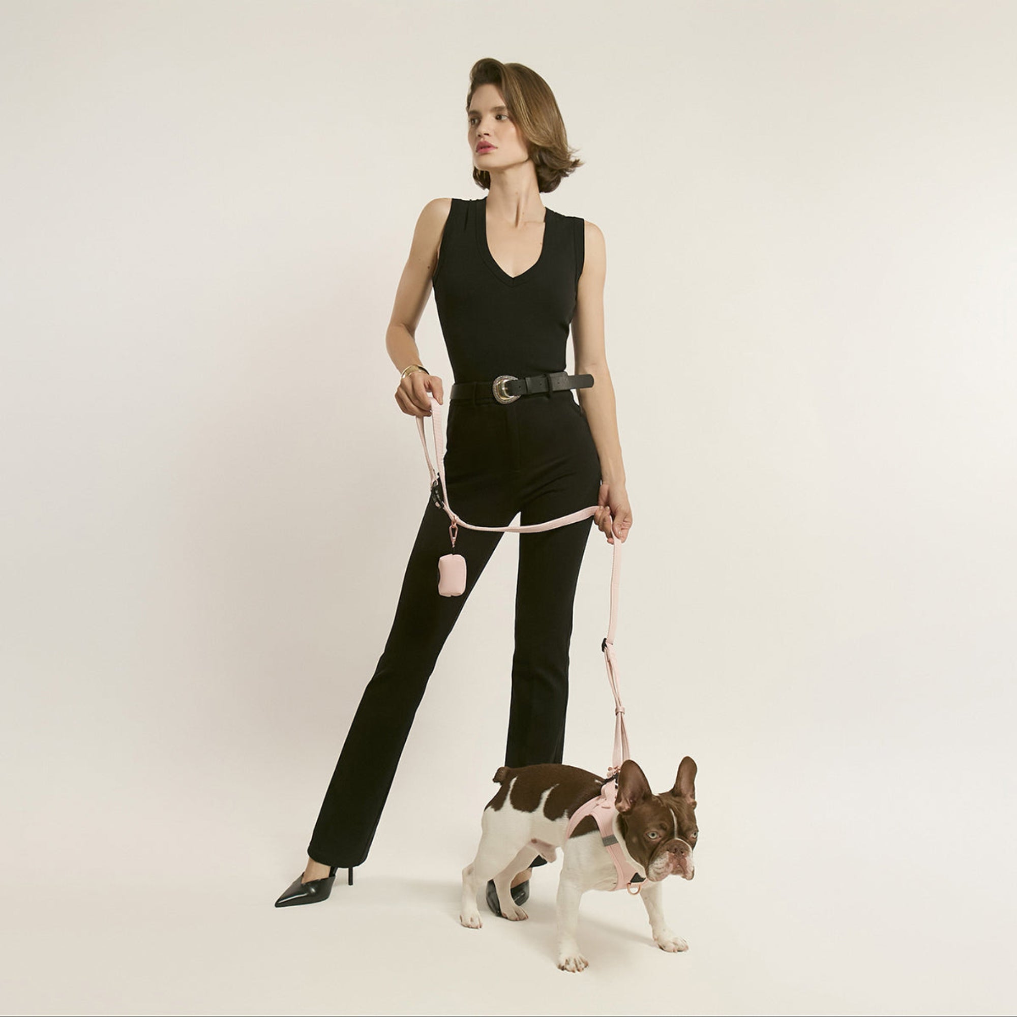 designer dog leashes and collars, designer dog collar and leash, pet accessories designer, fancy harness for dogs, luxury dog harness, fancy dog stuff, pet accessories designer, stylish dog leash