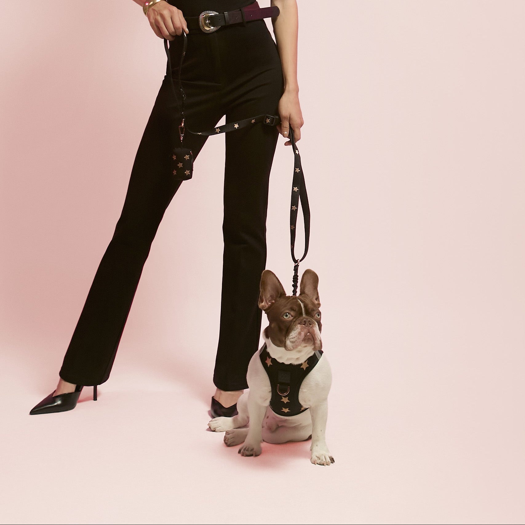 designer dog leashes and collars, designer dog collar and leash, pet accessories designer, fancy harness for dogs, luxury dog harness, fancy dog stuff, pet accessories designer, stylish dog leash