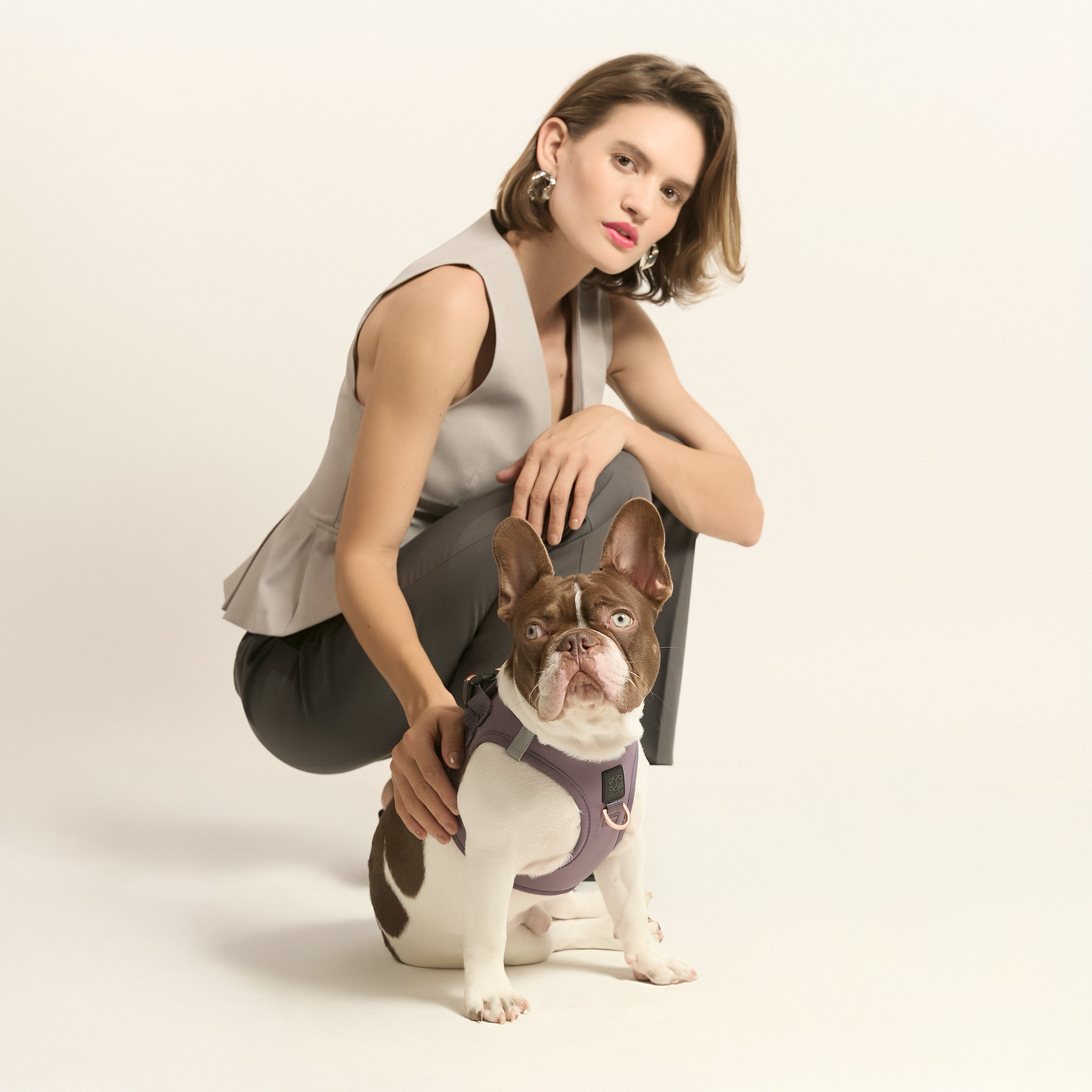 designer dog leashes and collars, designer dog collar and leash, pet accessories designer, fancy harness for dogs, luxury dog harness, fancy dog stuff, pet accessories designer, stylish dog leash