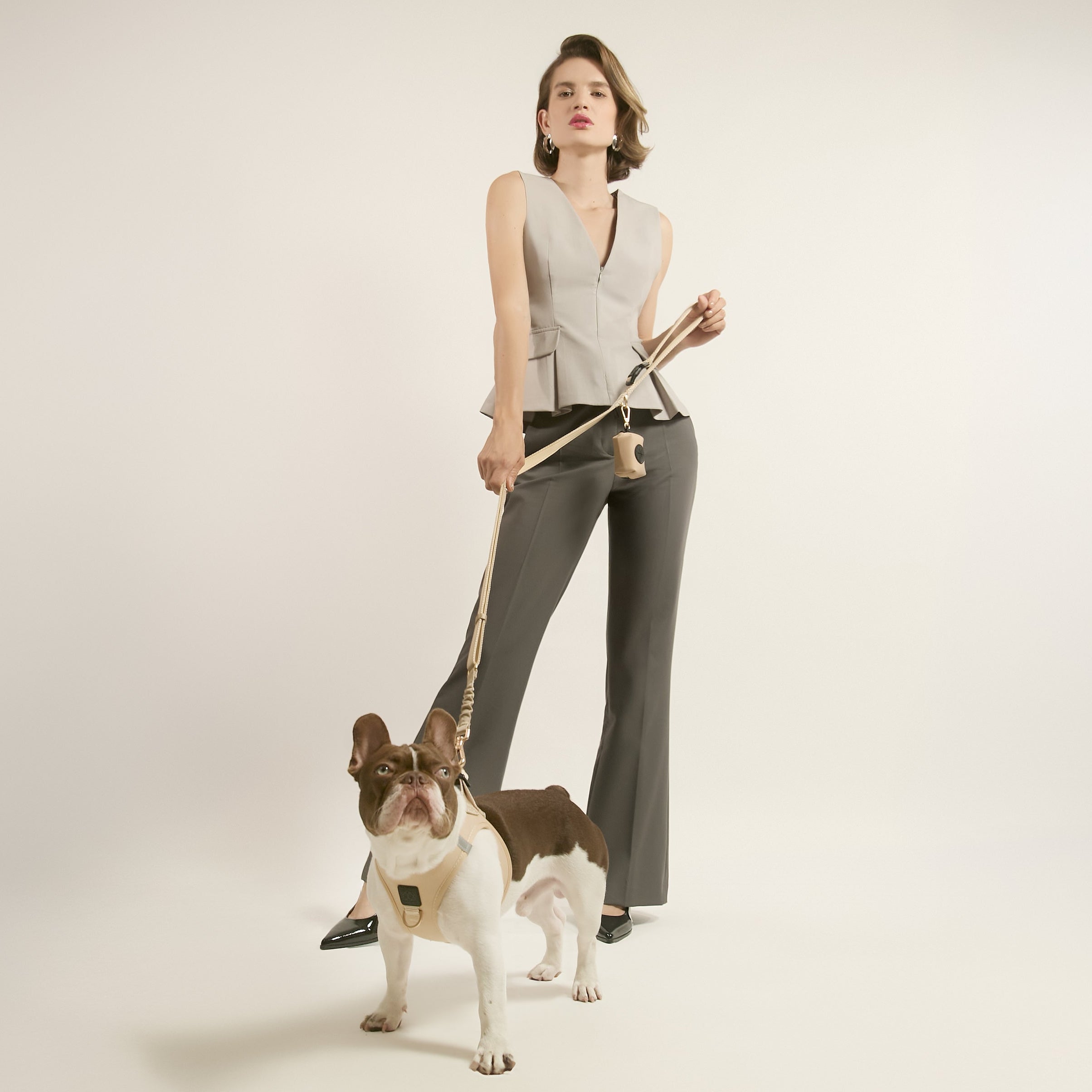 designer dog leashes and collars, designer dog collar and leash, pet accessories designer, fancy harness for dogs, luxury dog harness, fancy dog stuff, pet accessories designer, stylish dog leash