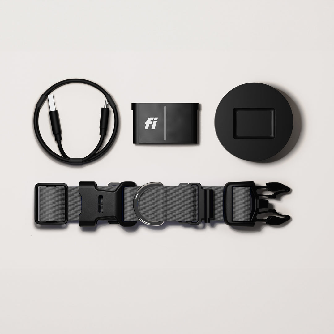Fi Series 3+ GPS Tracker Gift